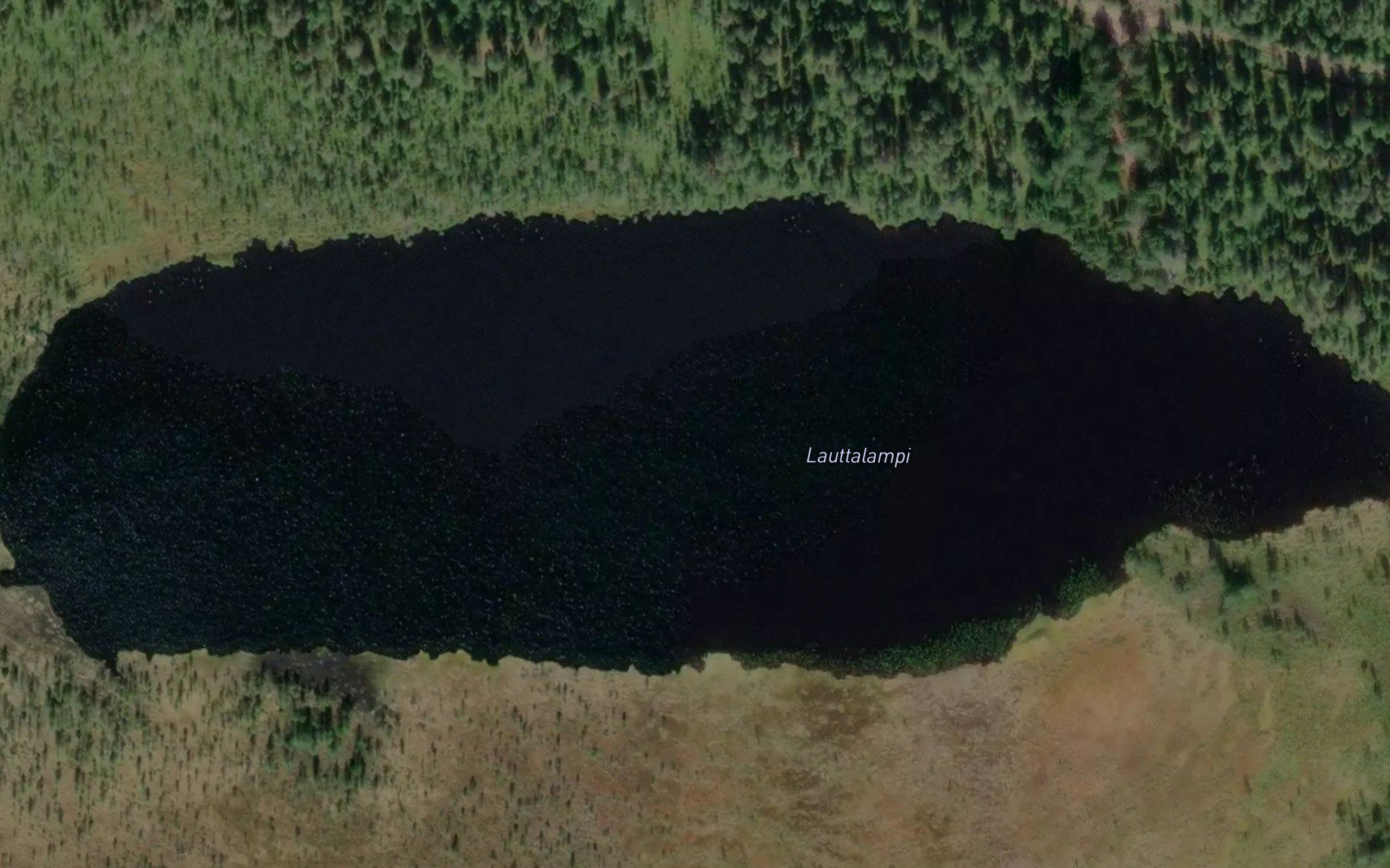 Lauttalampi