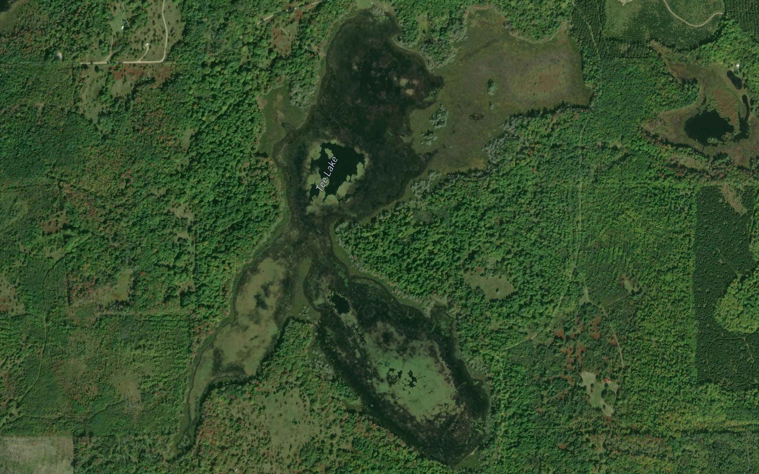 Tee Lake