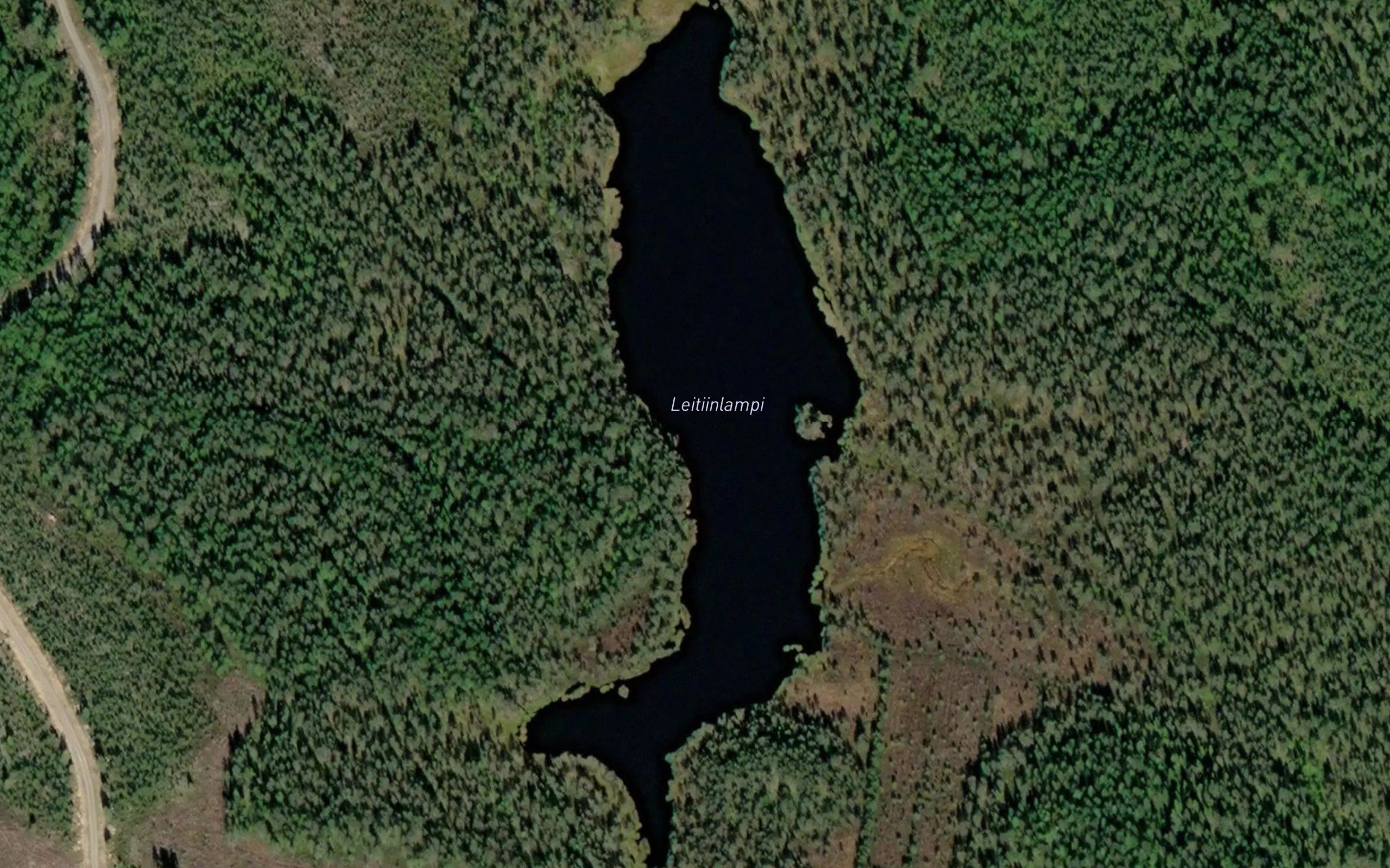 Leitiinlampi