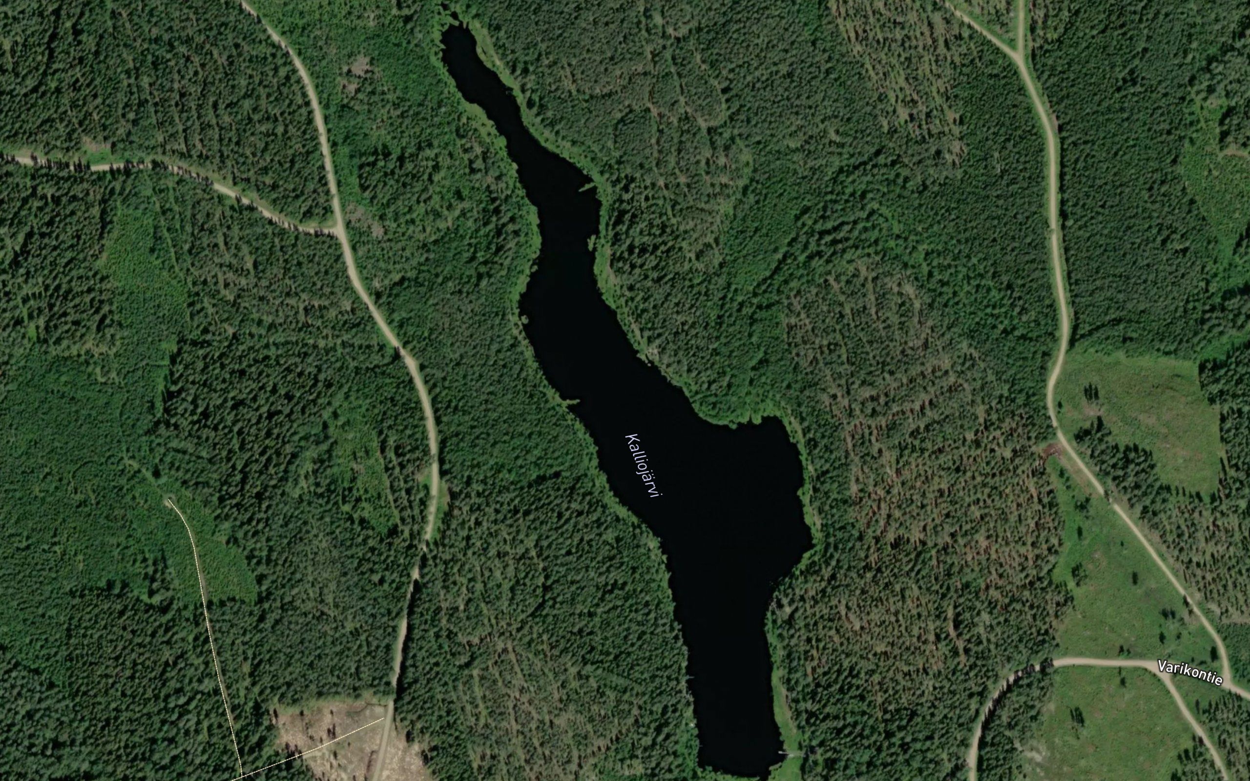 Kalliojarvi