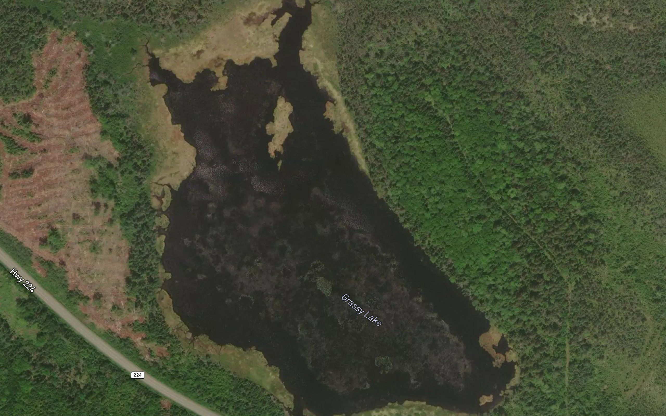 Grassy Lake