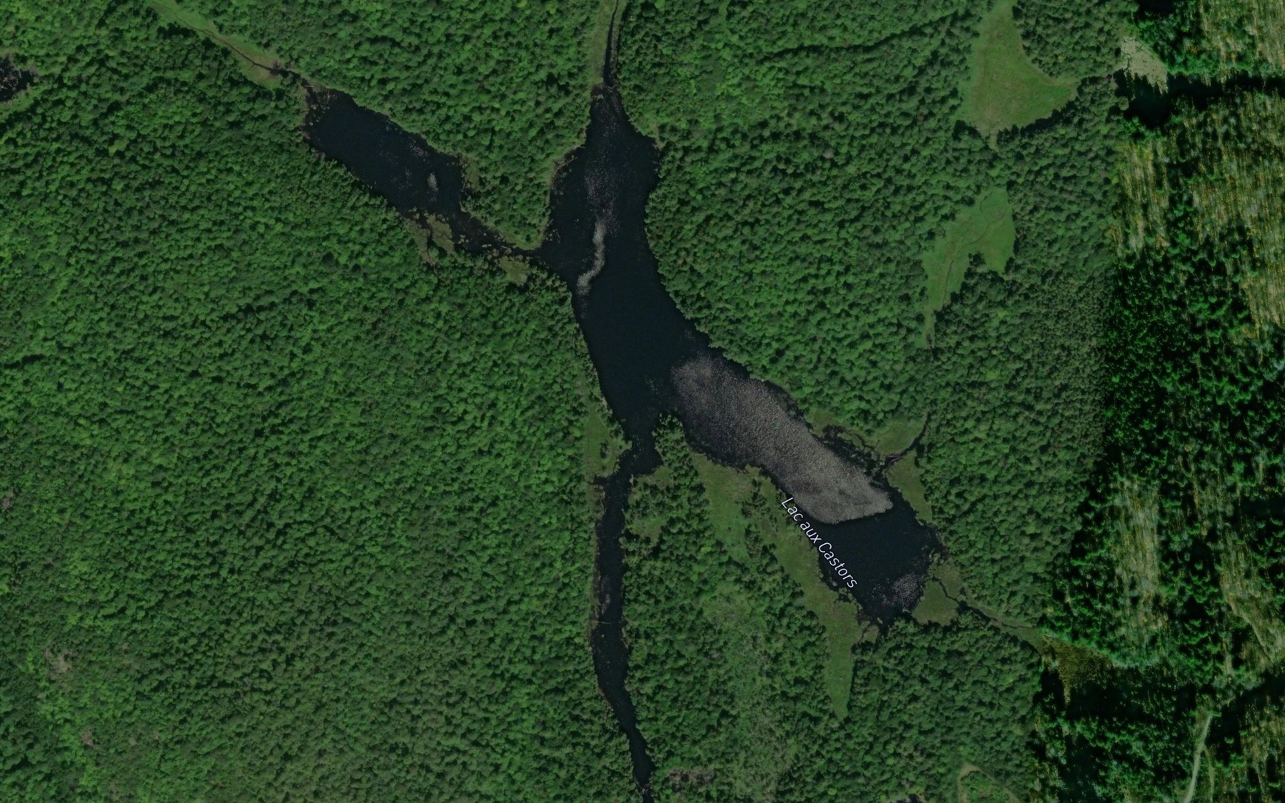 Satellite map of the Lac aux Castors
