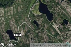 Hovtjorna