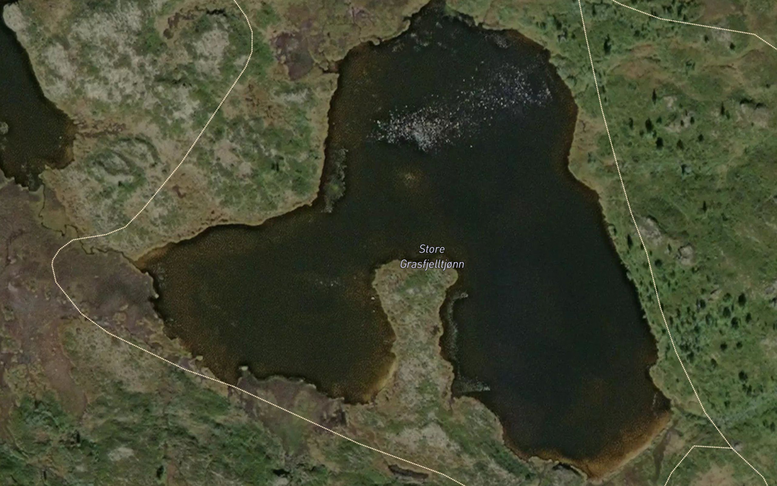 Grasdalstjorni