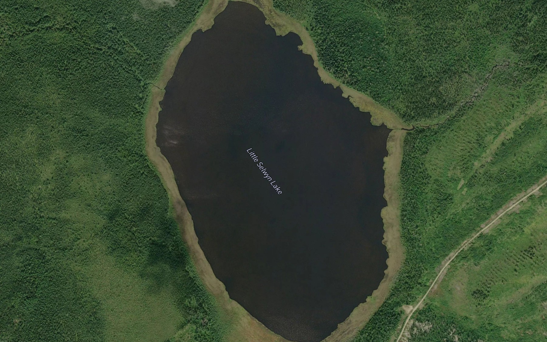 Satellite map of the Little Selwyn Lake