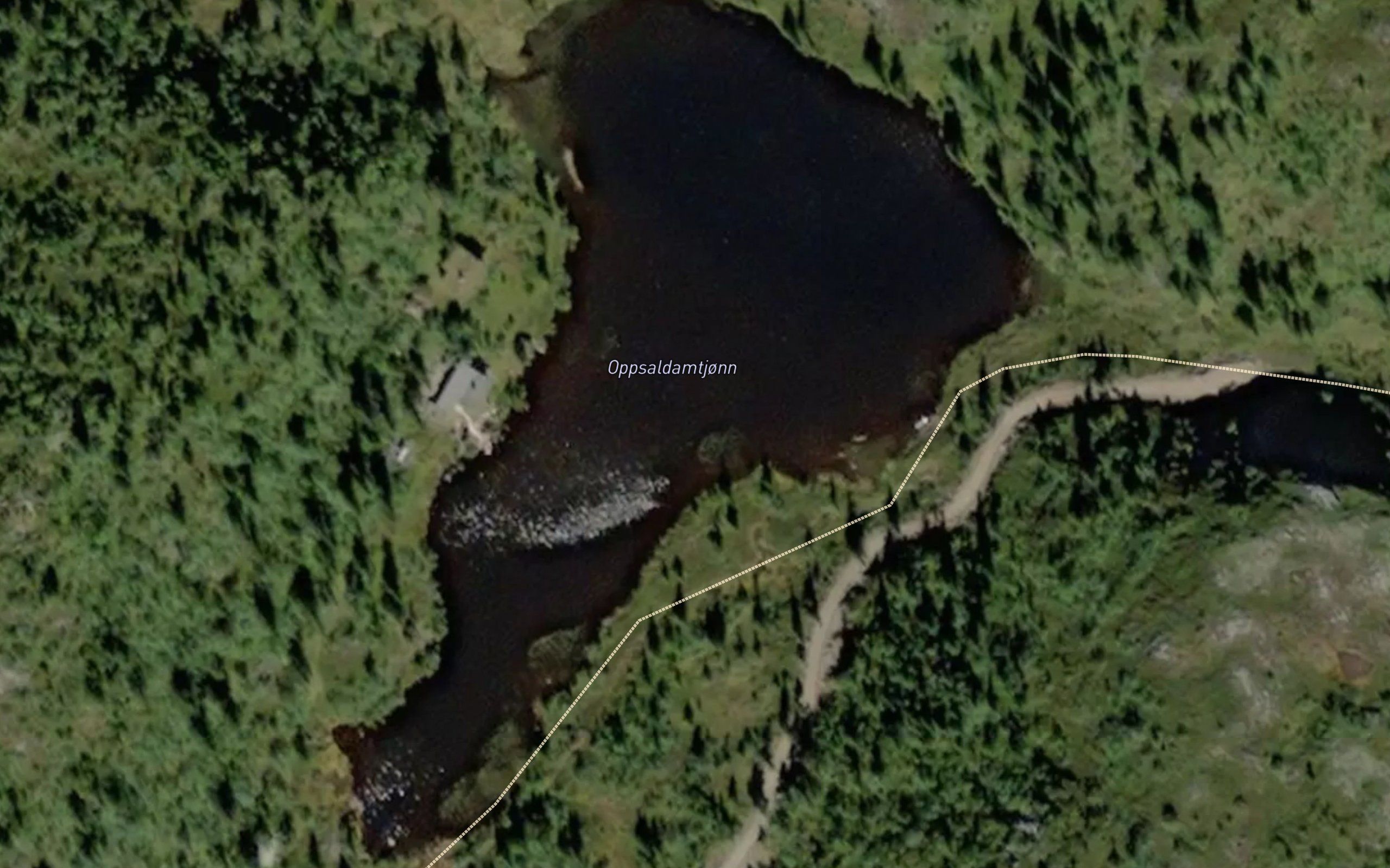 Opsal damtjonn