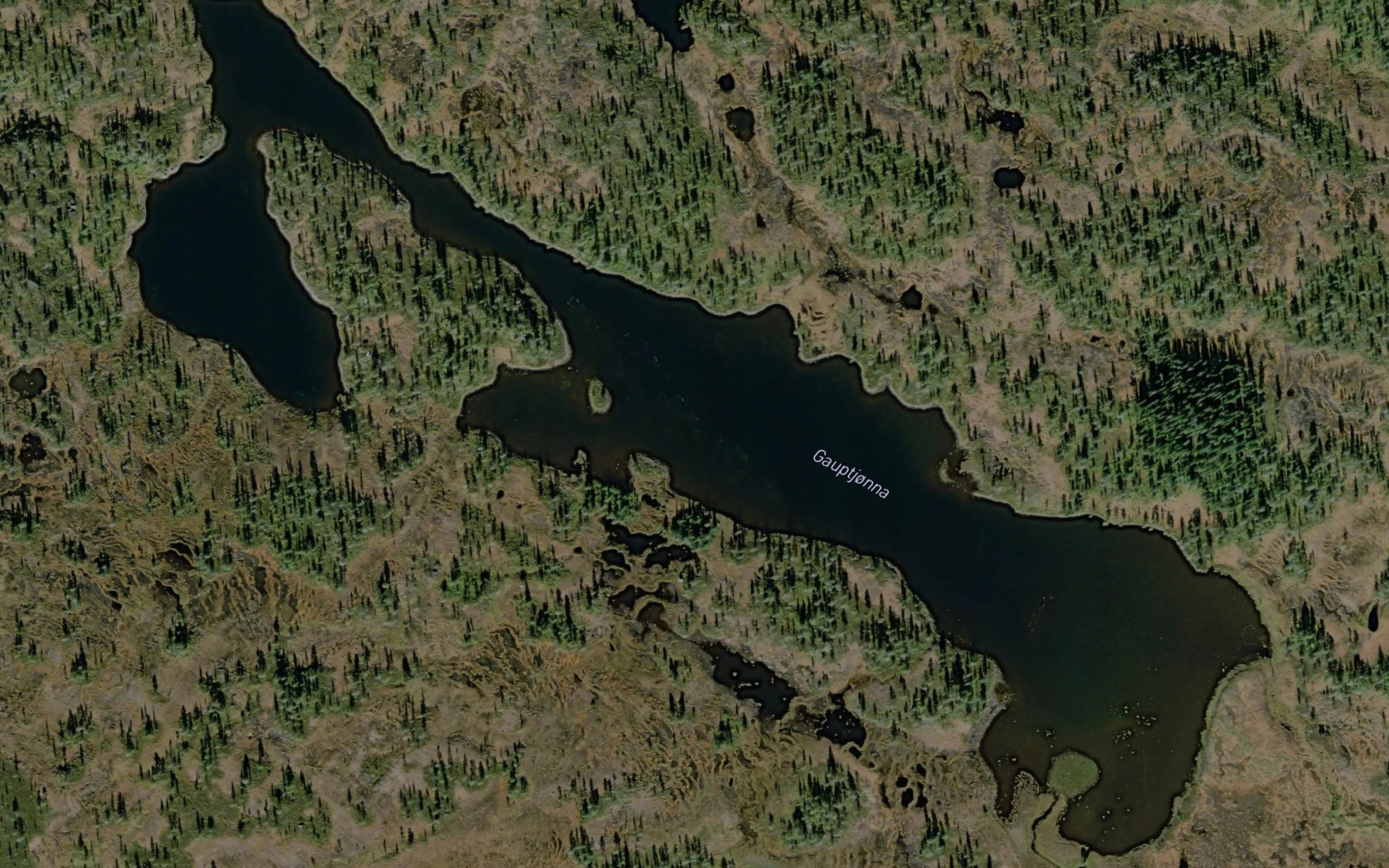 Satellite map of the Gauptjorna
