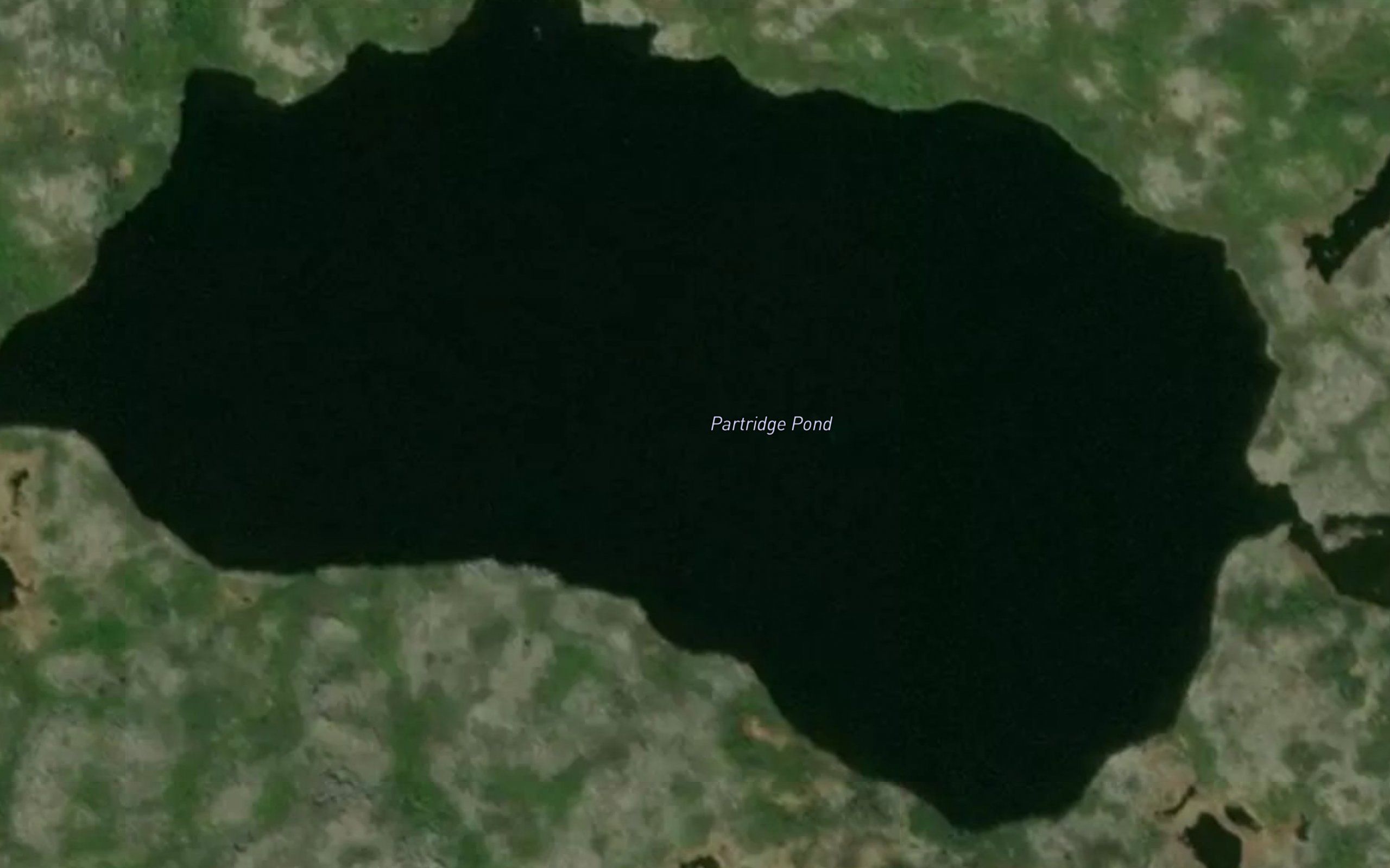 Partridge Pond