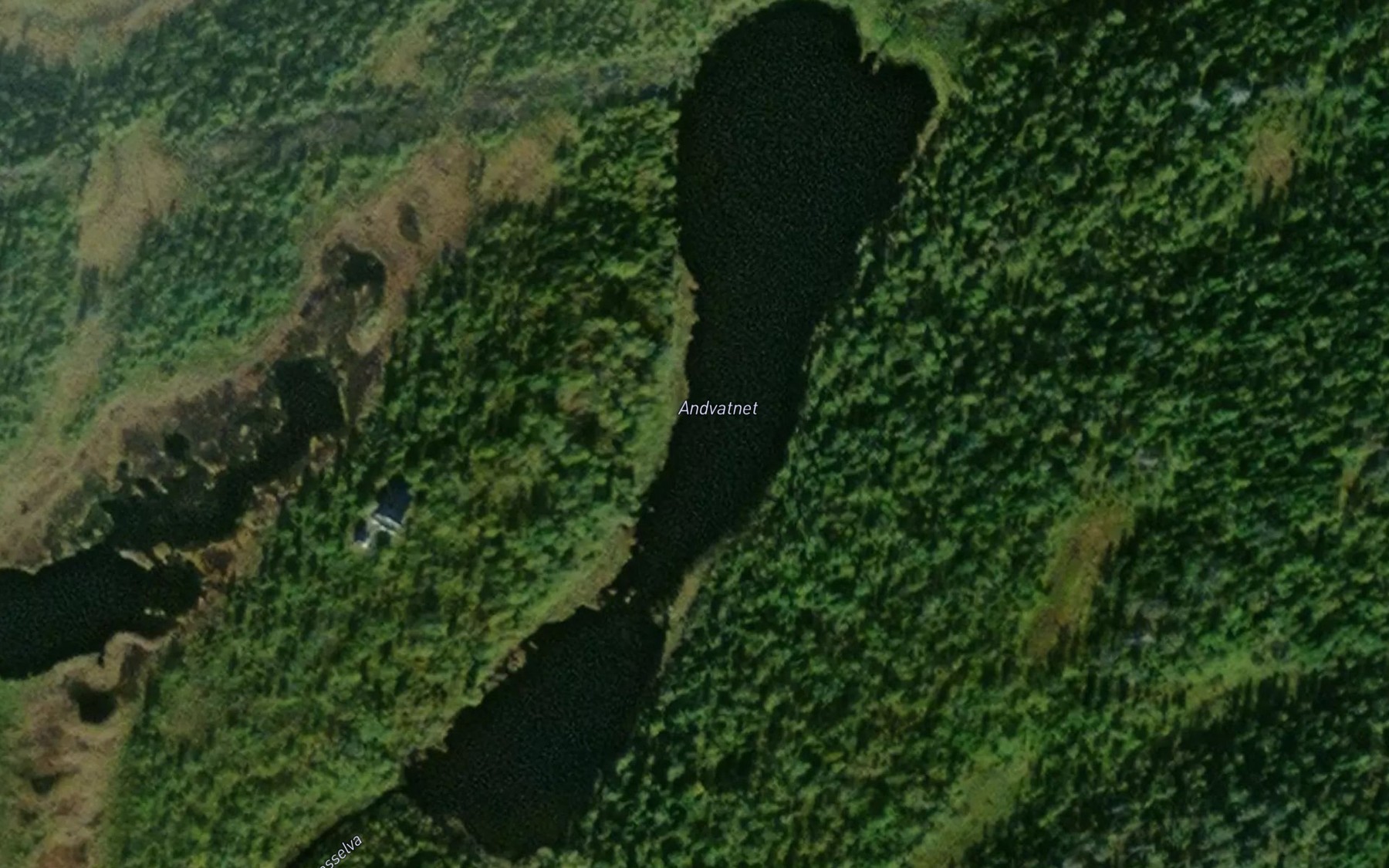 Satellite map of the Andvatnet