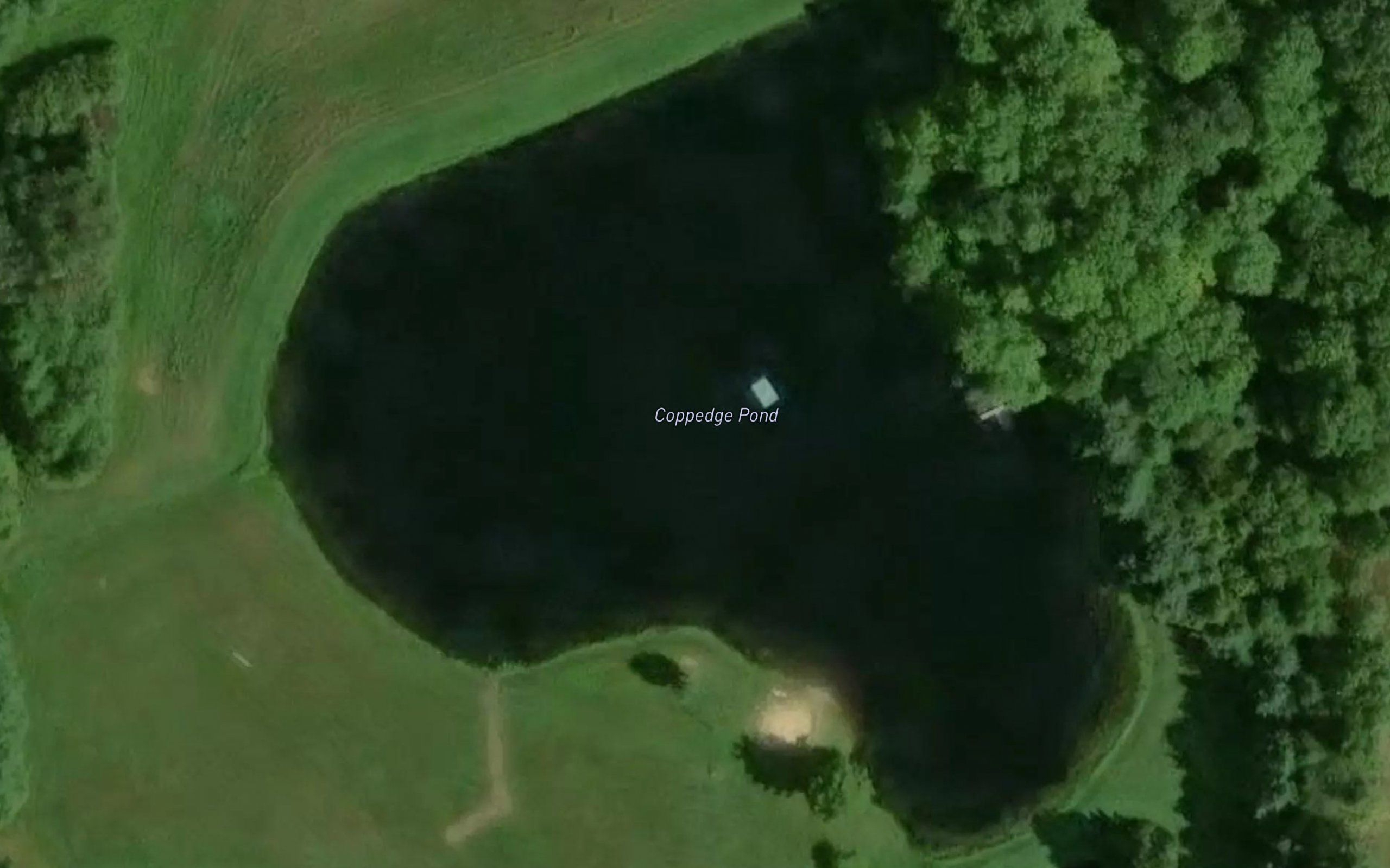 Coppedge Pond