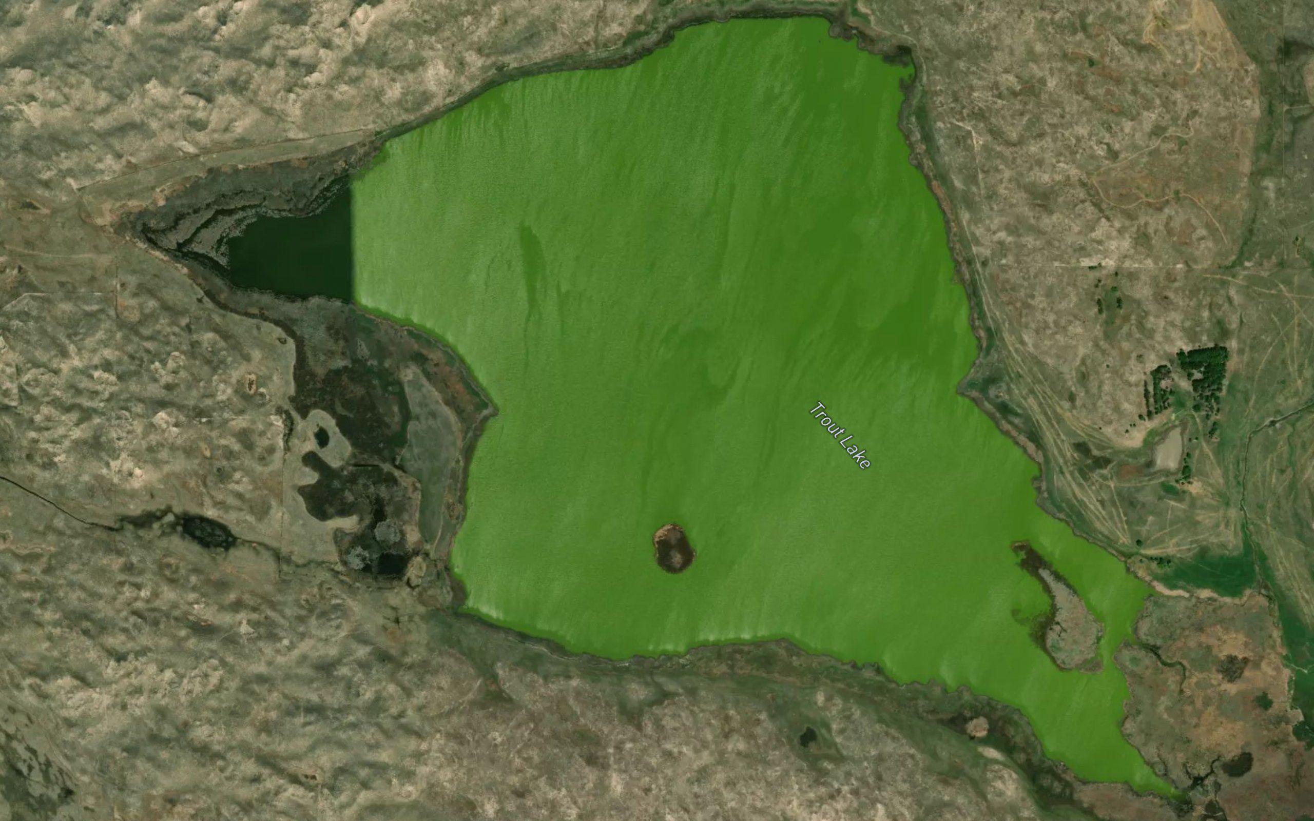 Trout Lake