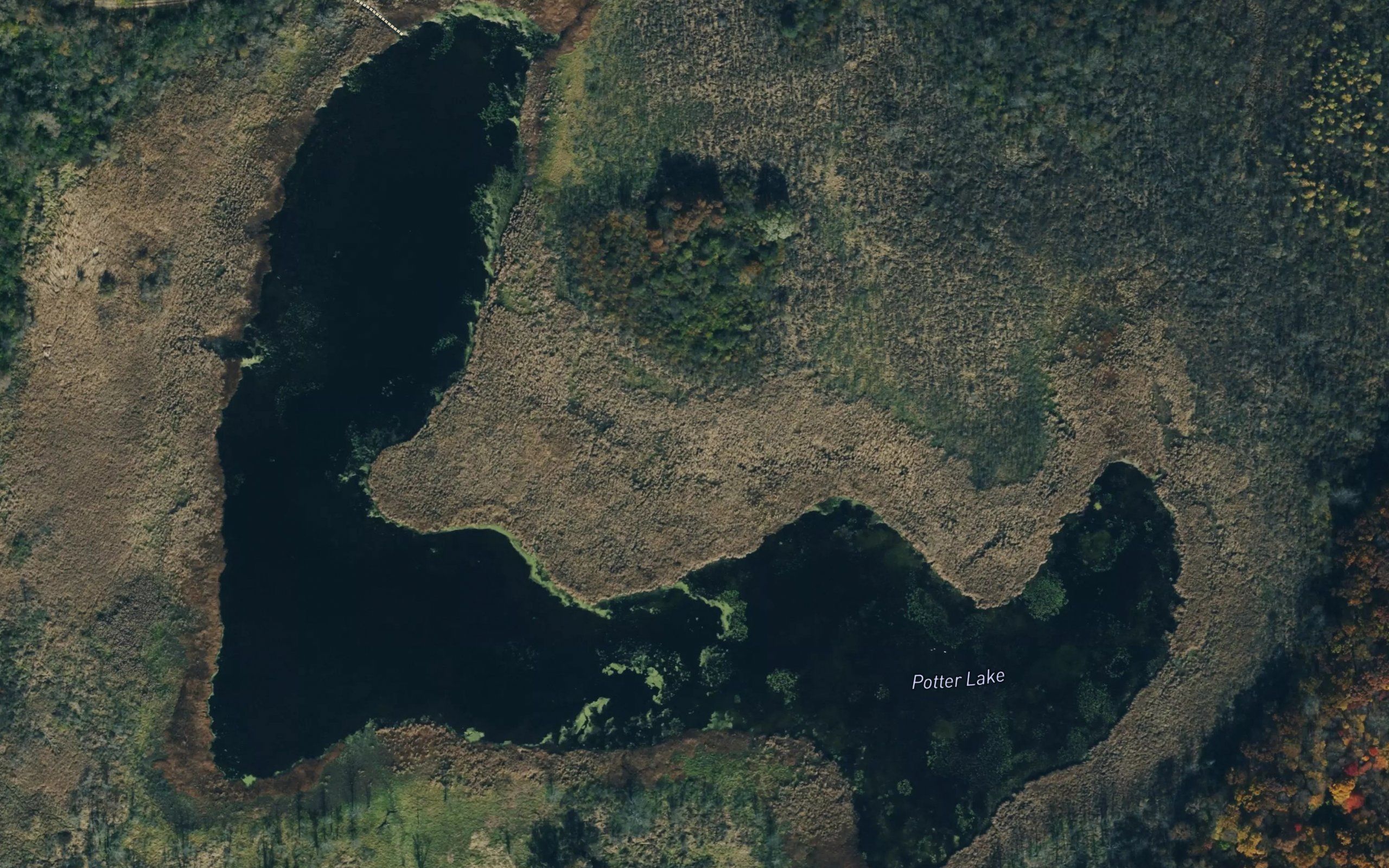 Potter Lake