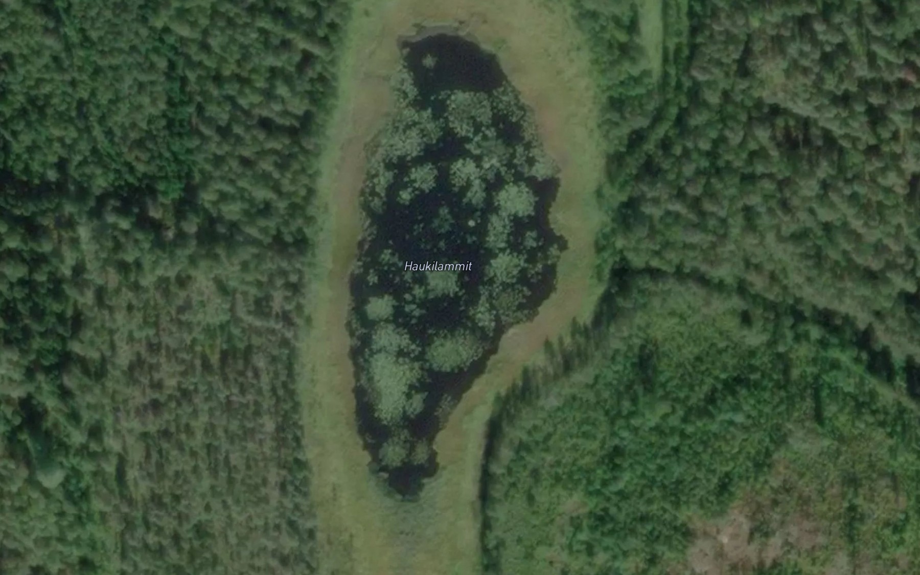 Satellite map of the Haukilammit