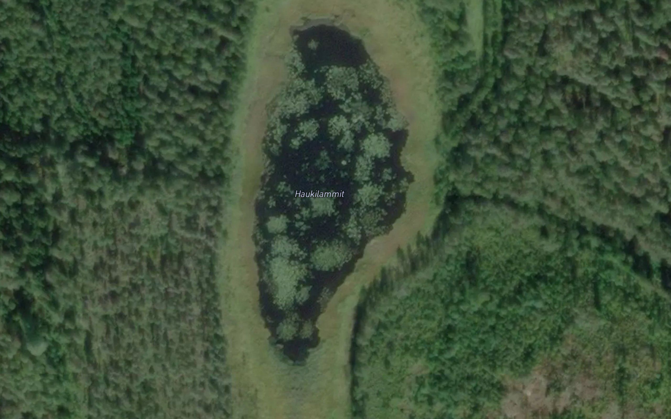 Haukilammit