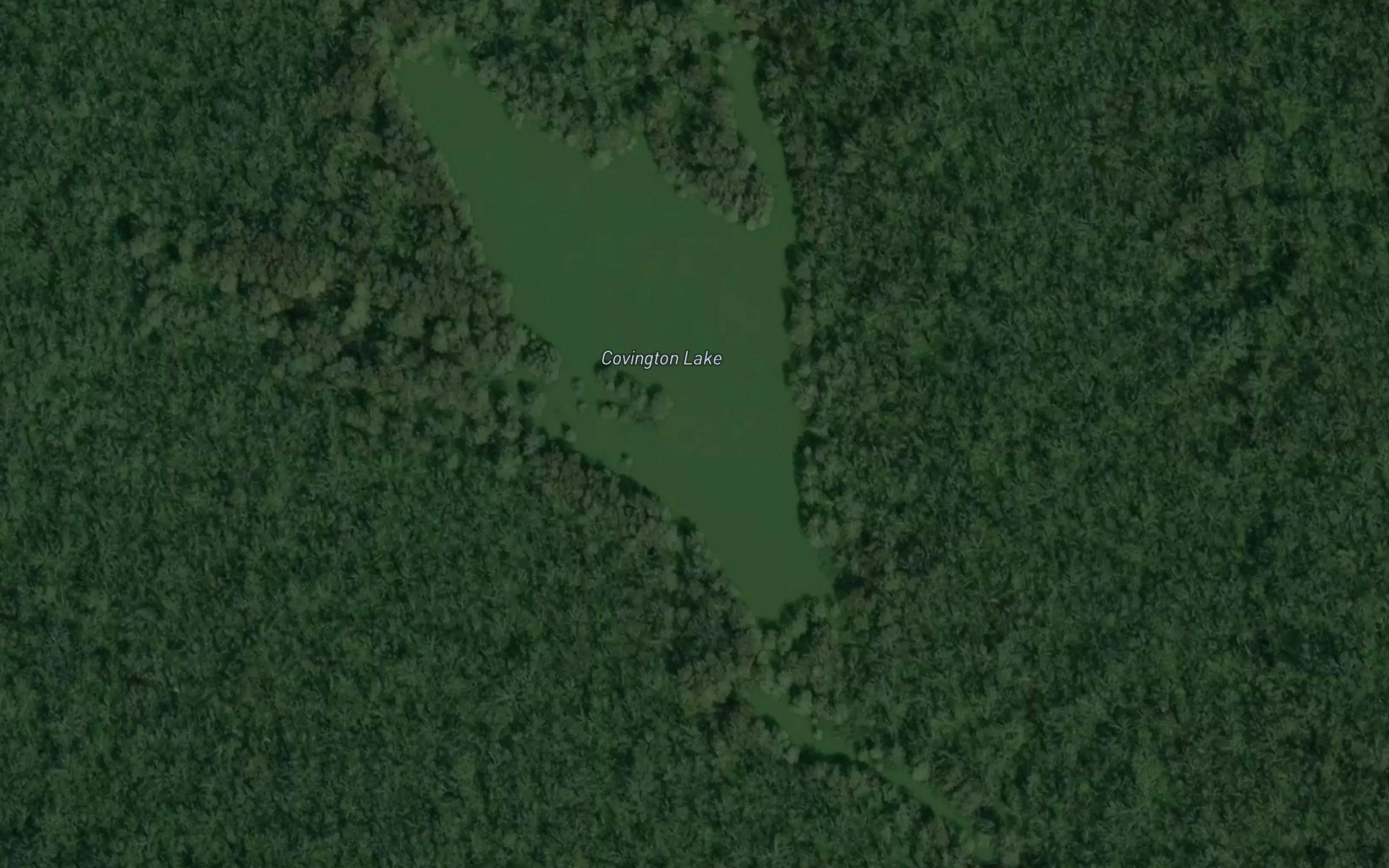 Covington Lake