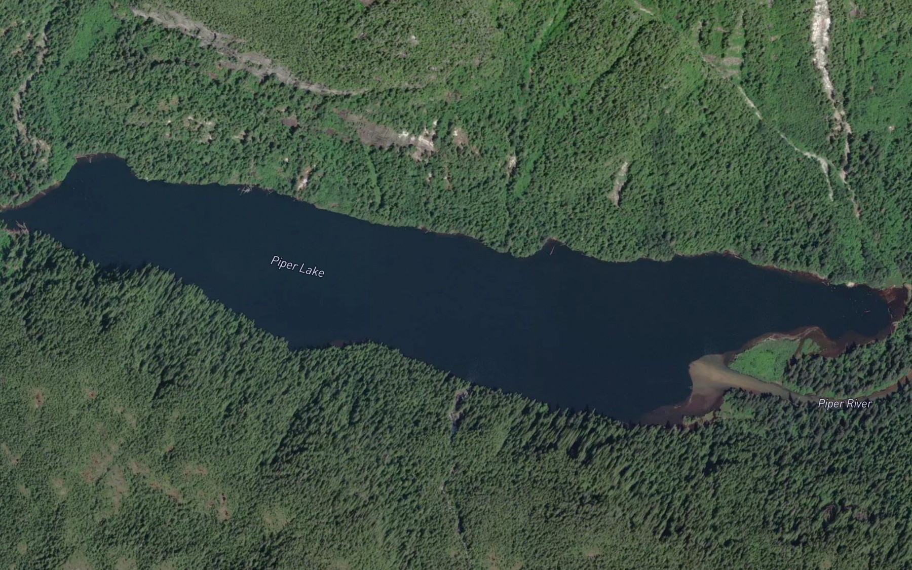 Satellite map of the Piper Lake