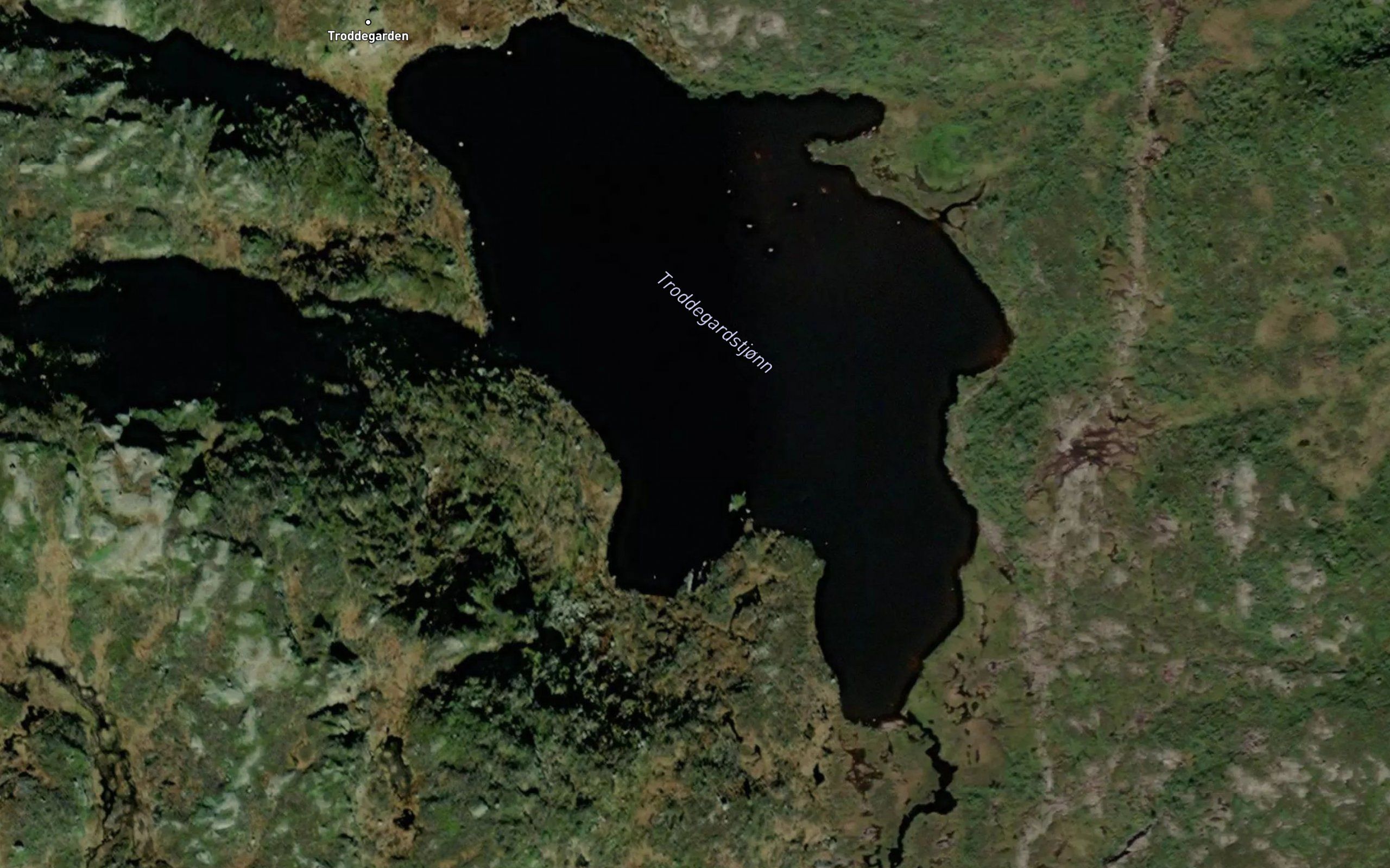 Troddegardstjonn