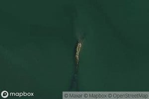 Little Crowduck Reef