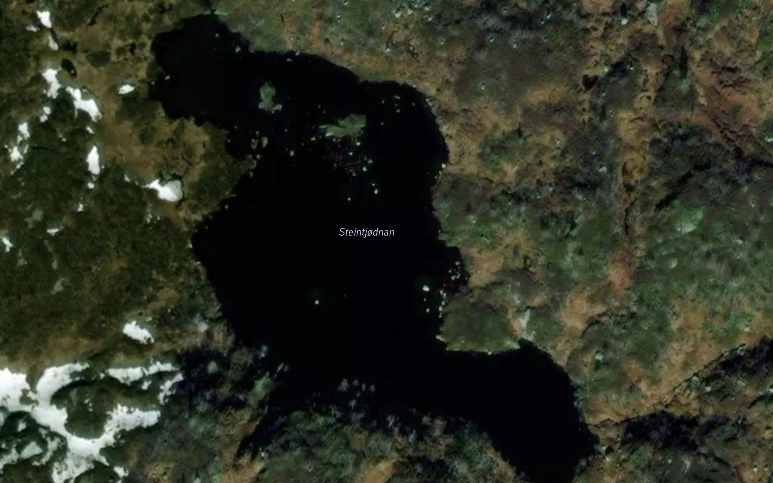 Steintjornan