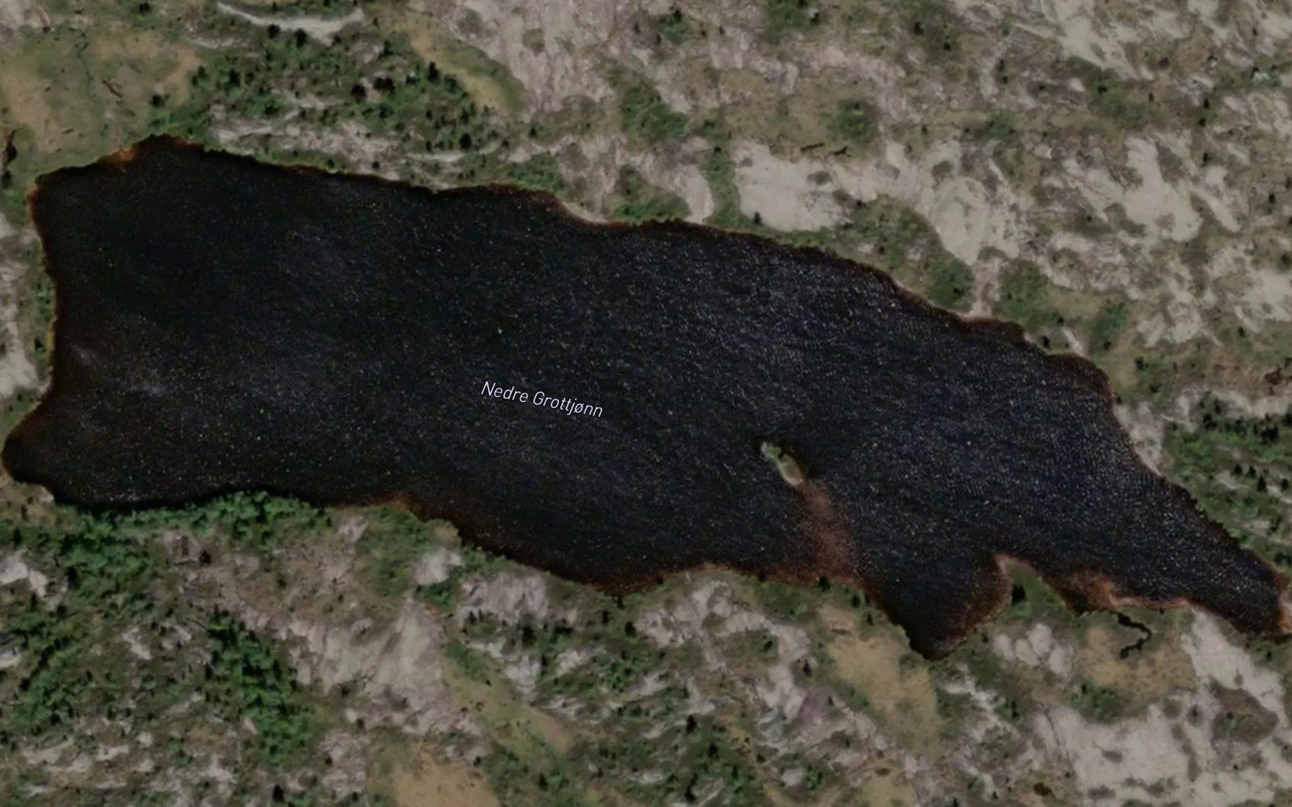 Grunntjorn,nedre