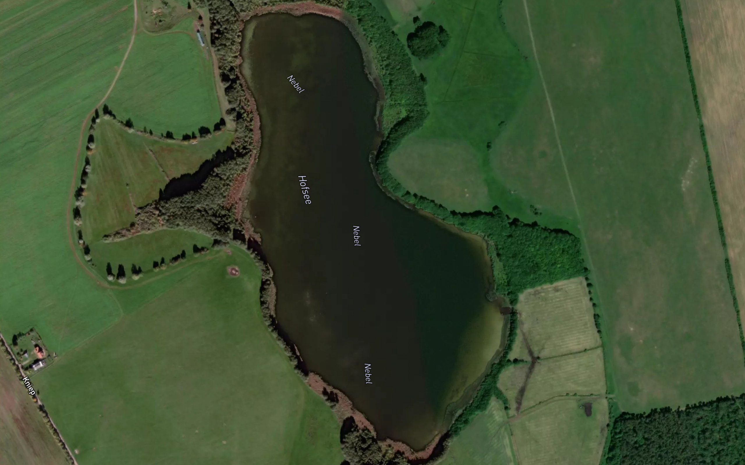 Hofsee