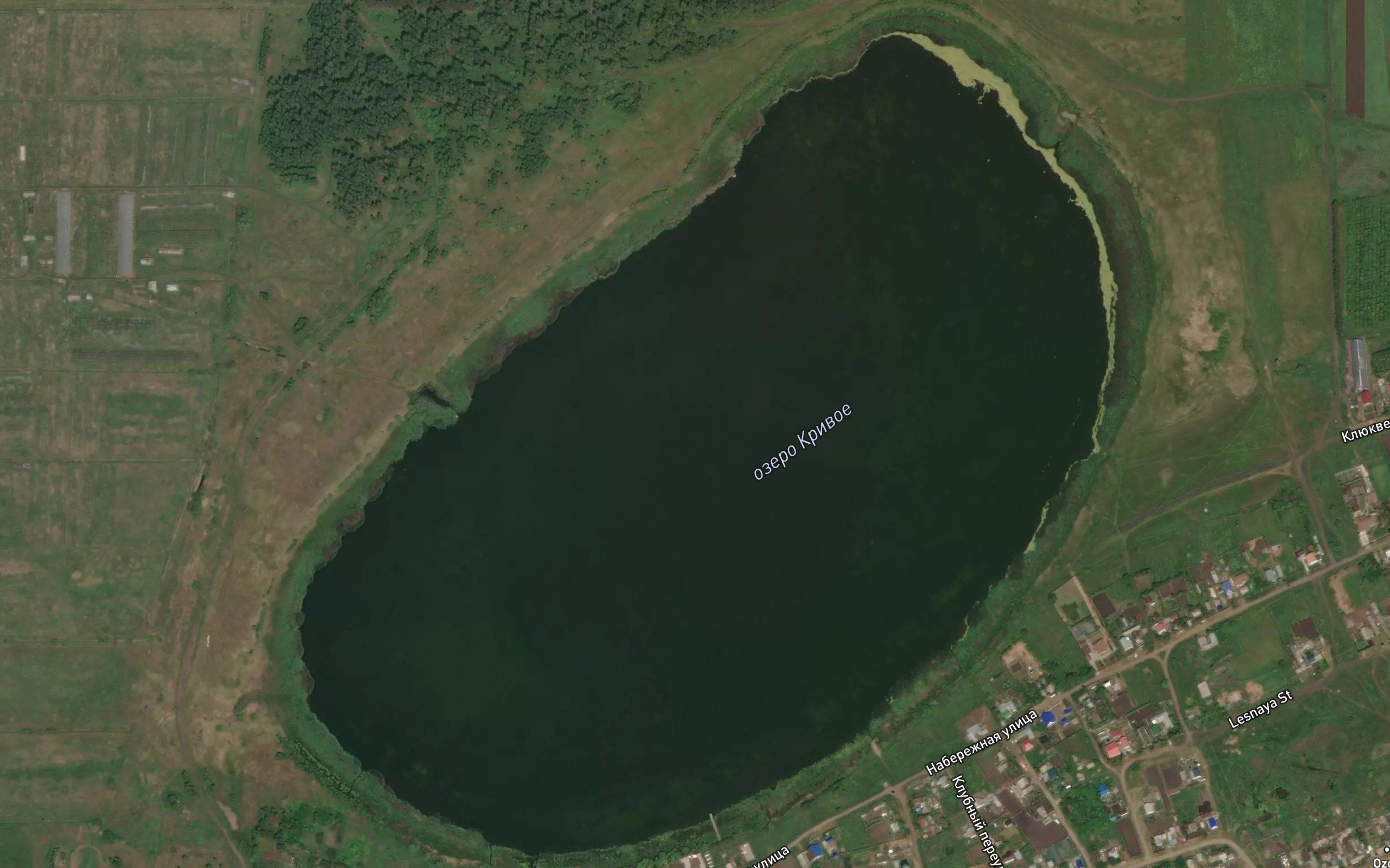 Ozero Krivoye