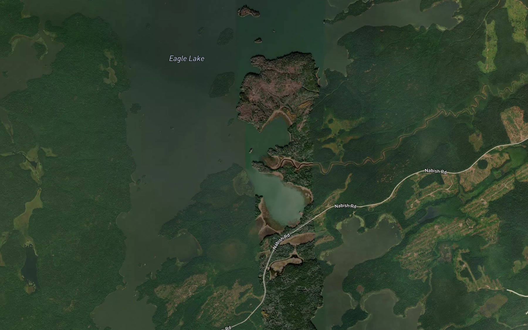 Satellite map of the Rice Bay