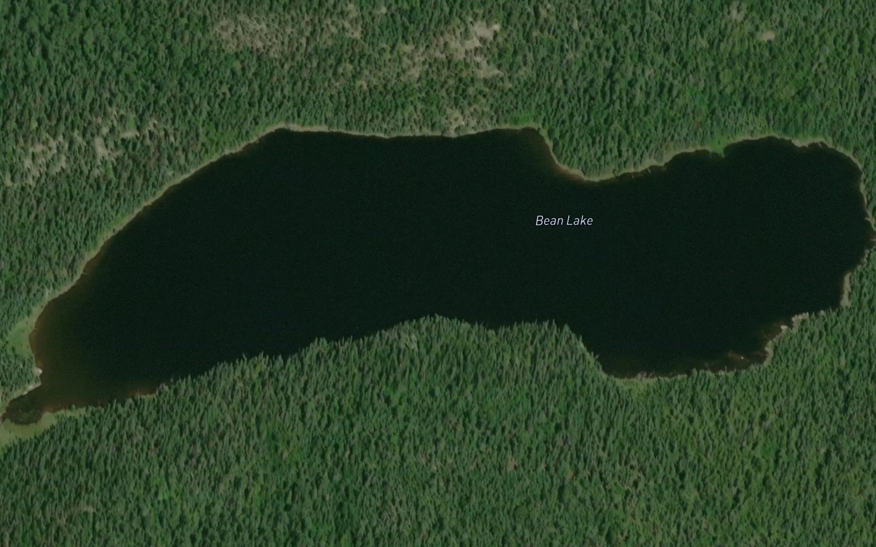 Satellite map of the Bean Lake