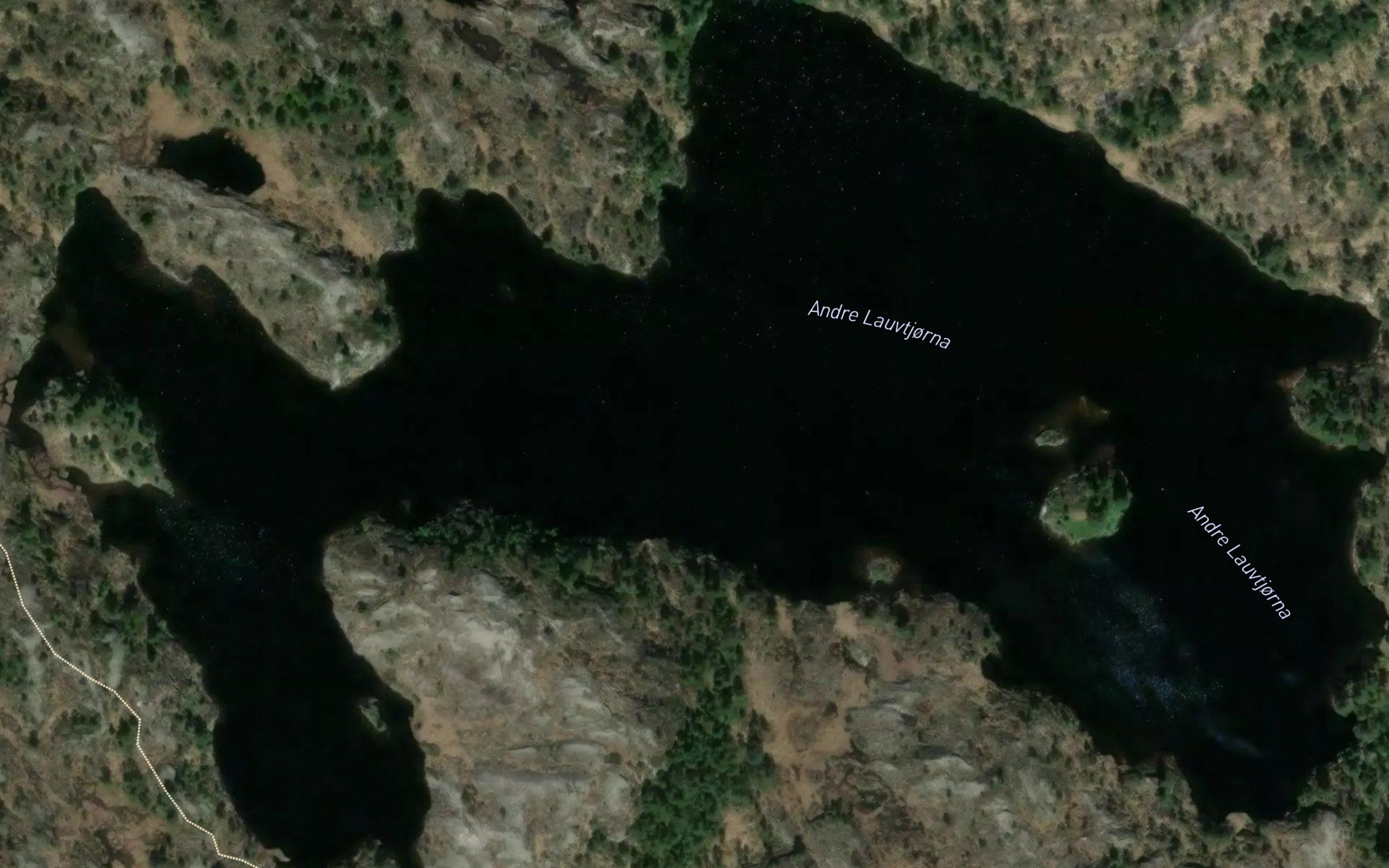 Lauvtjorni,Andre