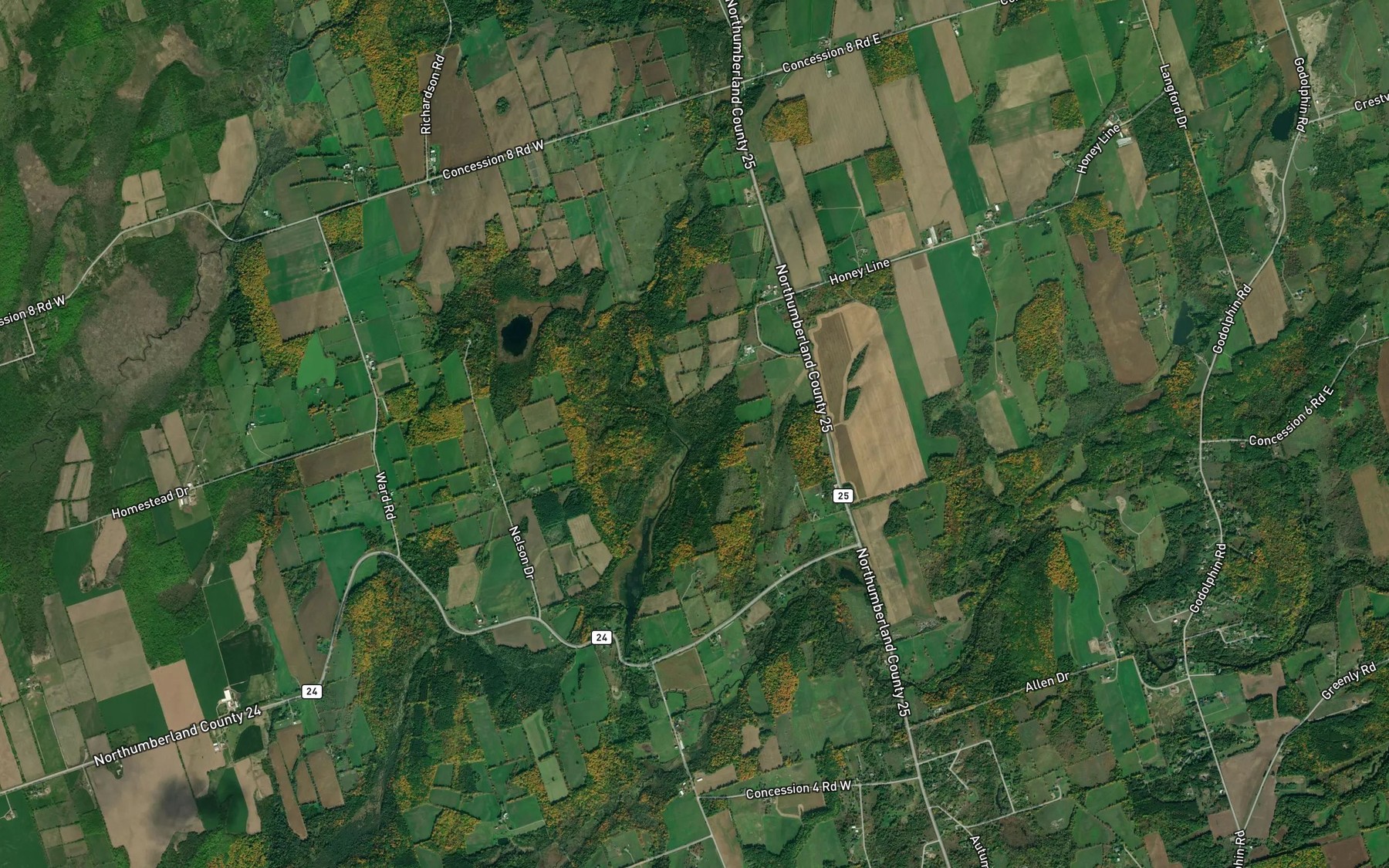 Satellite map of the Dartford Pond