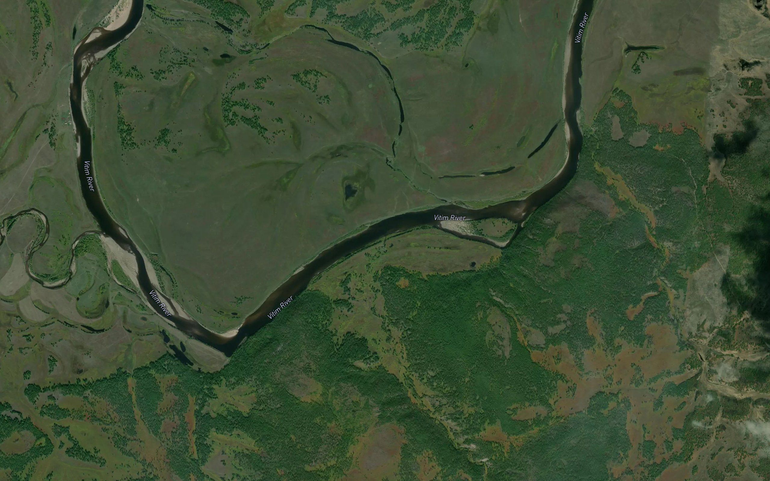 Kholodnyy