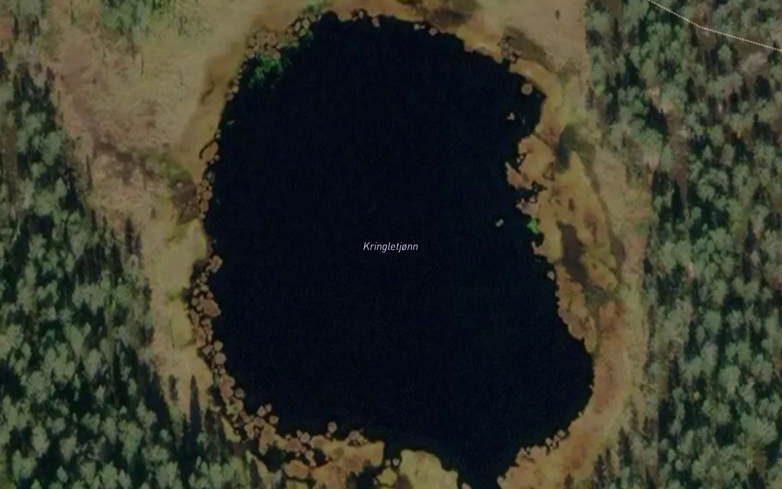 Kringletjonn