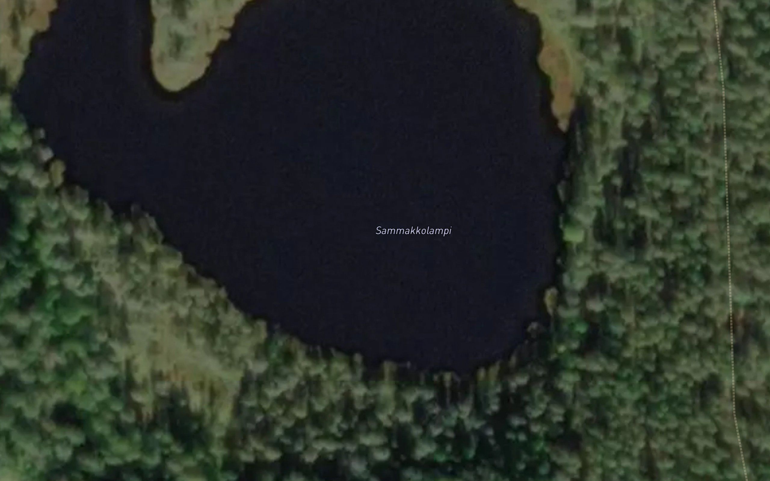 Sammakkolampi