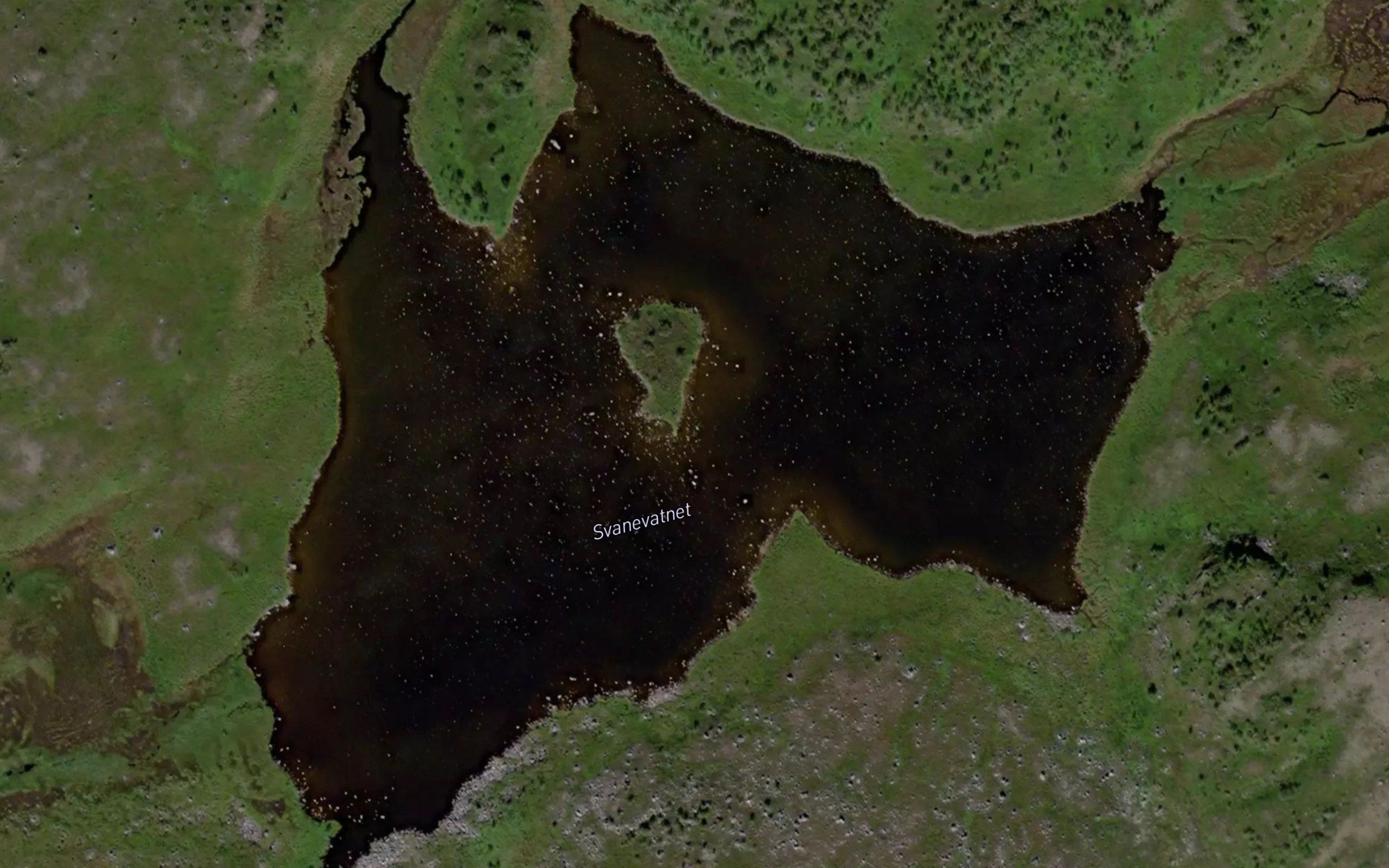Svanevatnet