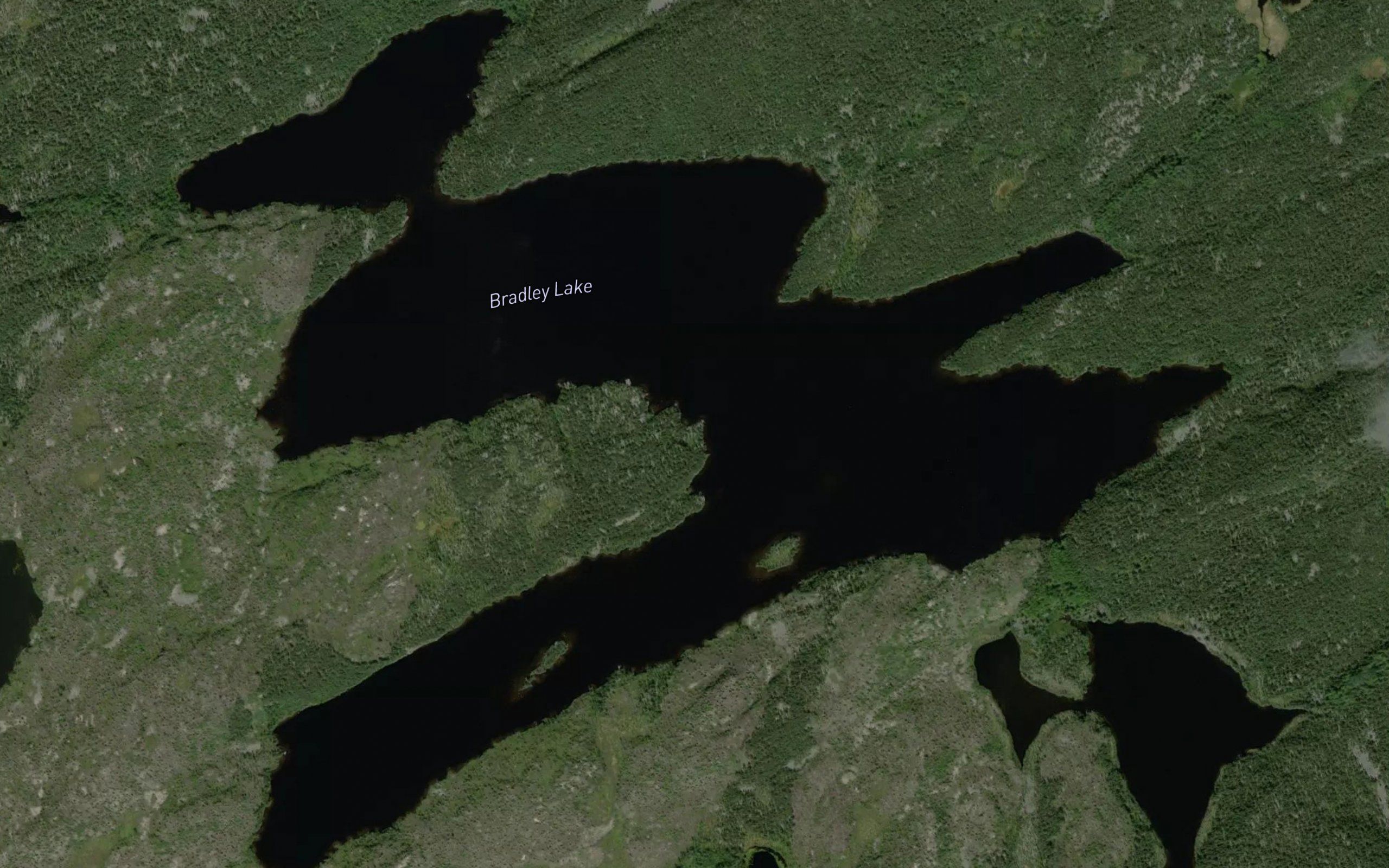 Bradley Lake