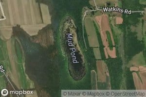 Mud Pond
