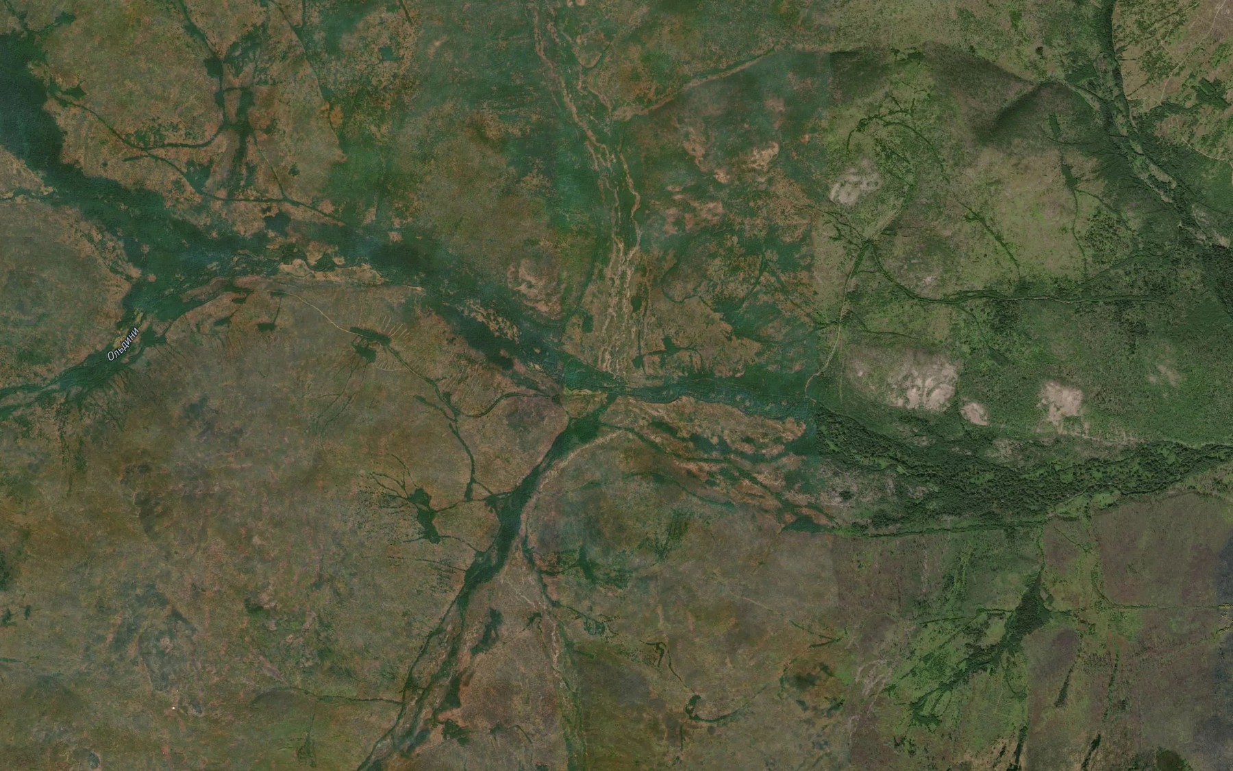 Satellite map of the Chistyy