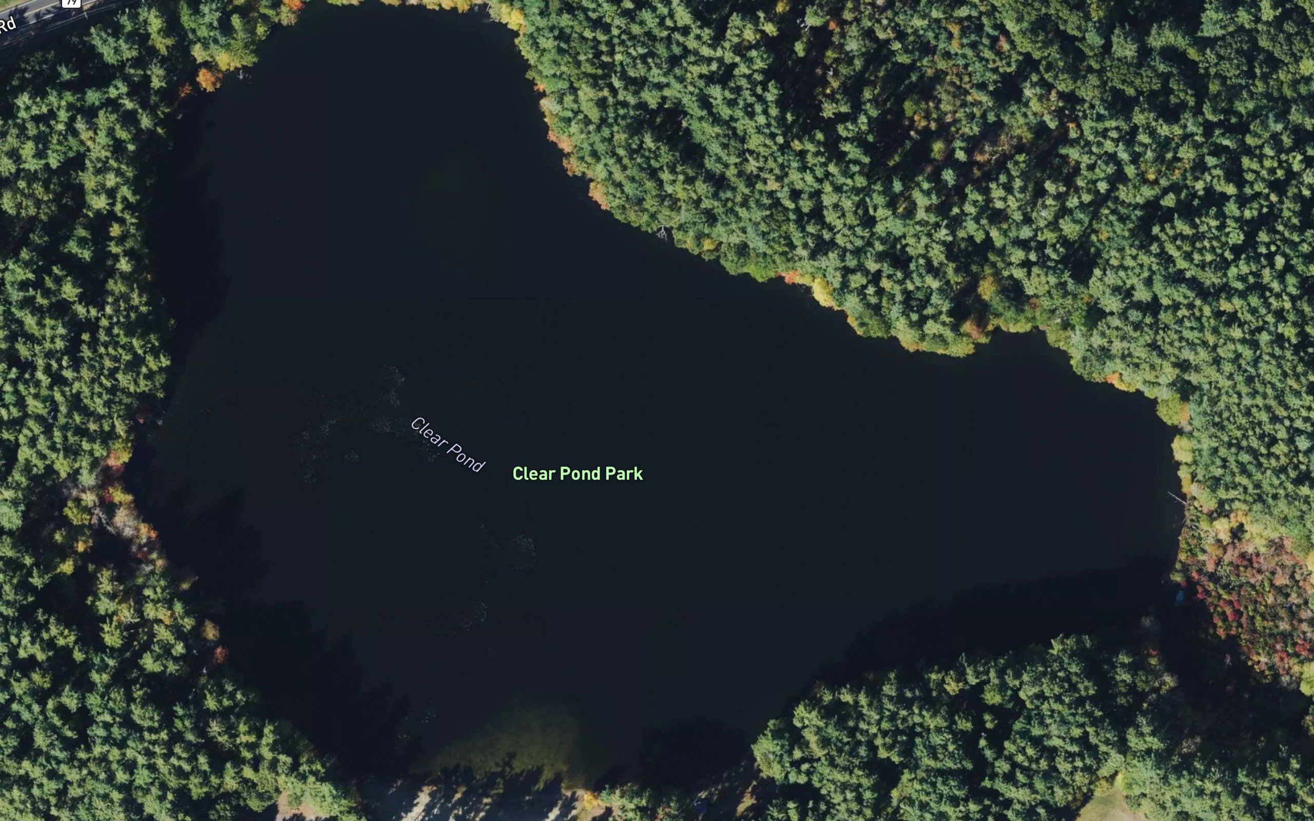 Clear Pond