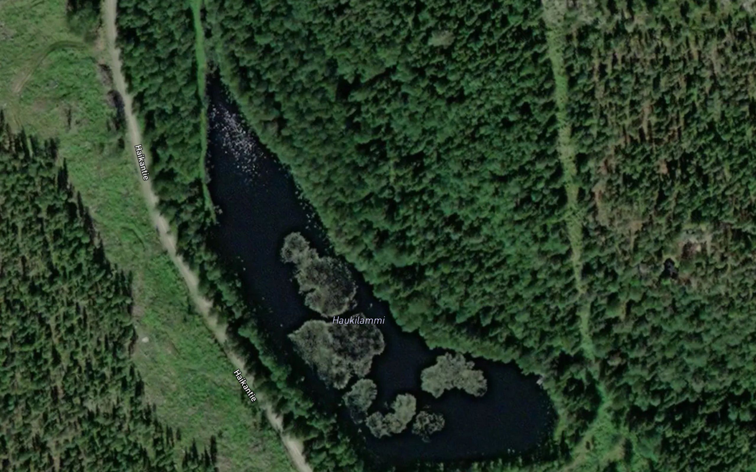 Haukilammi