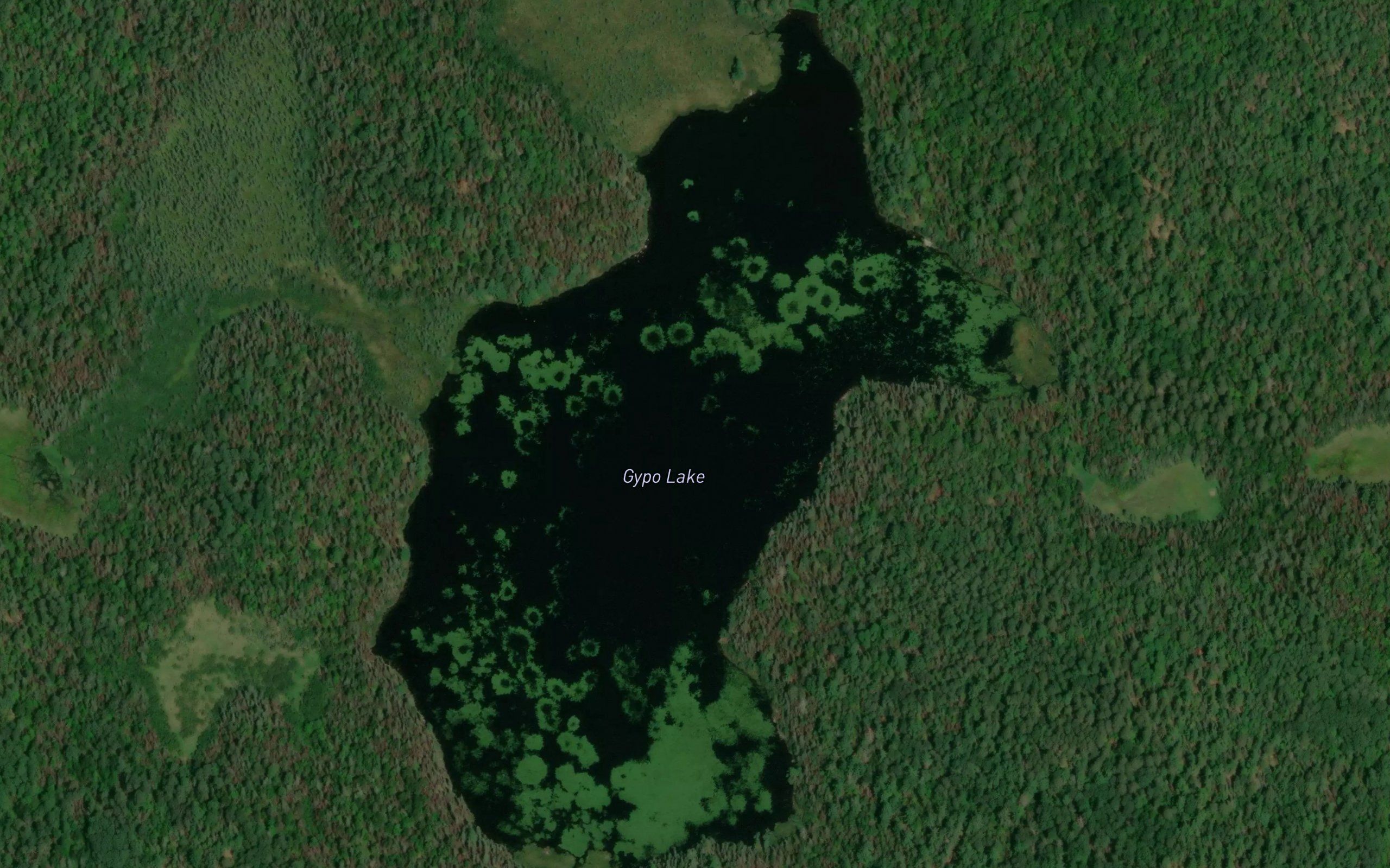Gypo Lake