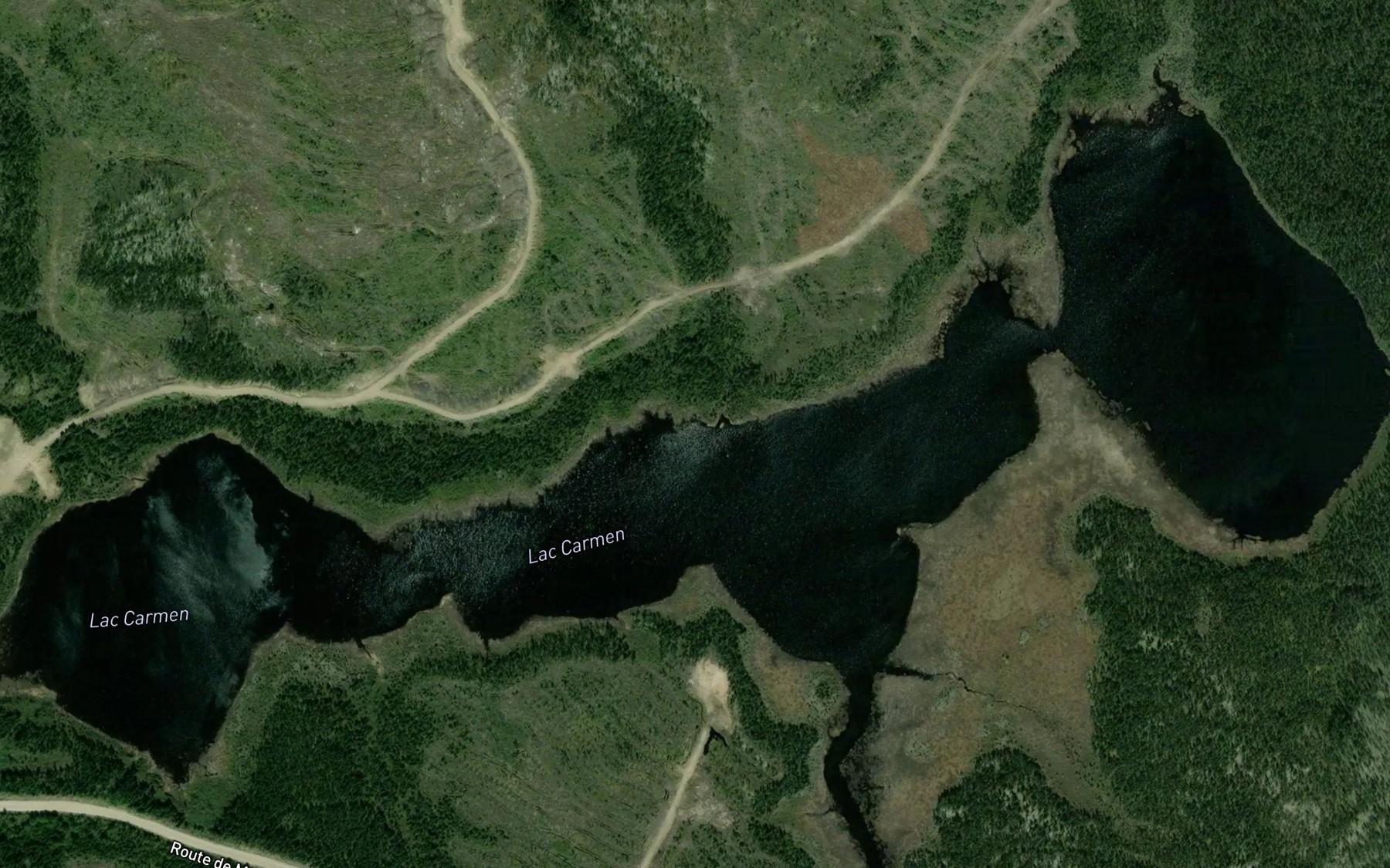 Satellite map of the Lac Carmen