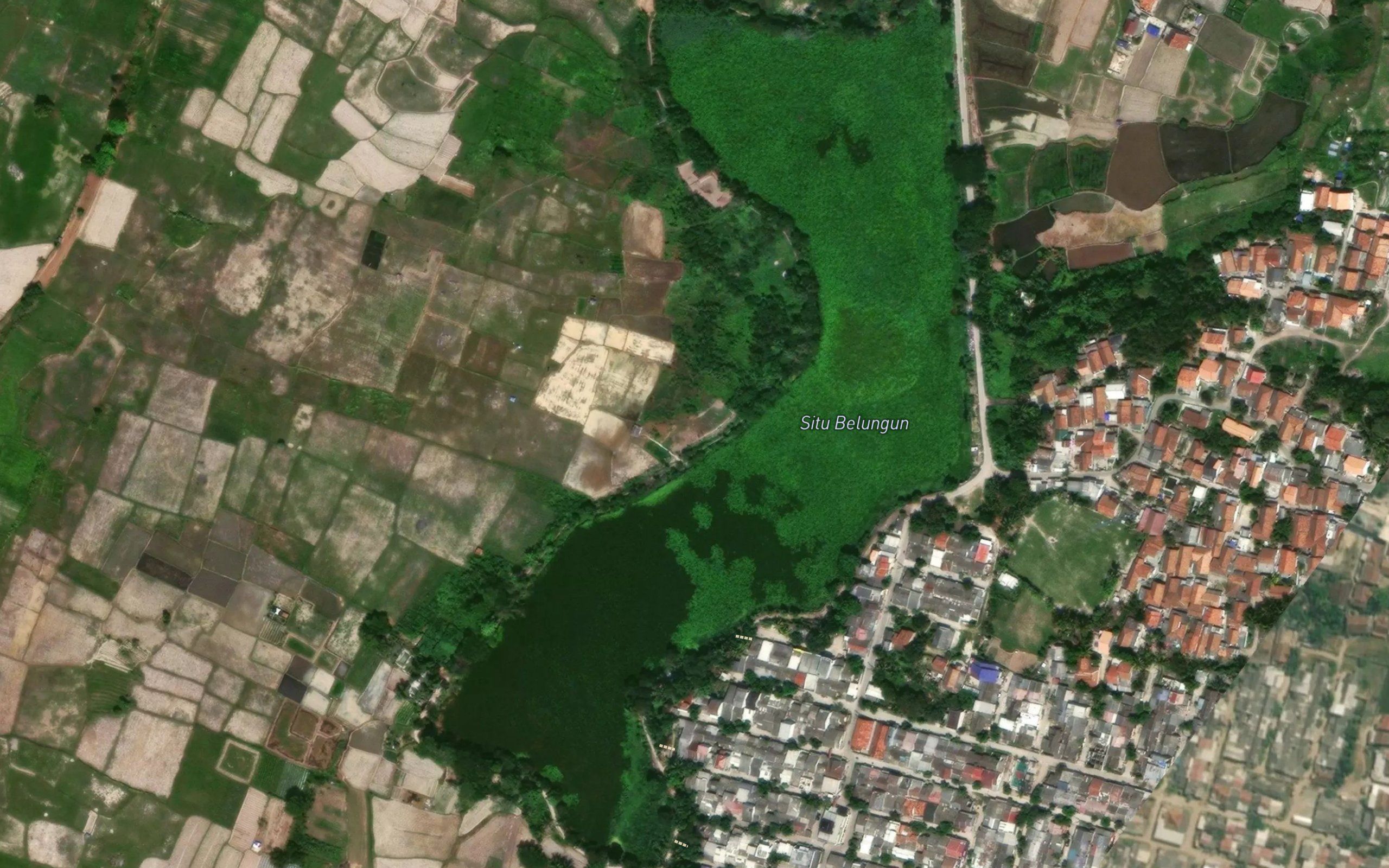 Situ Belungun