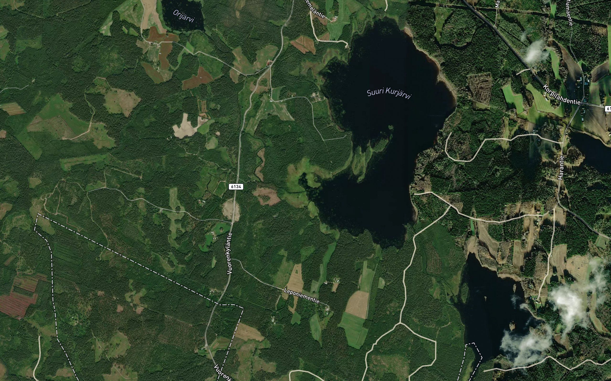 Karijoki