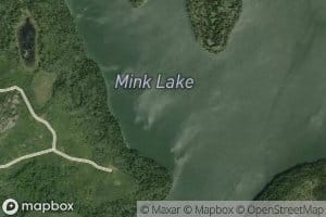 Mink Lake