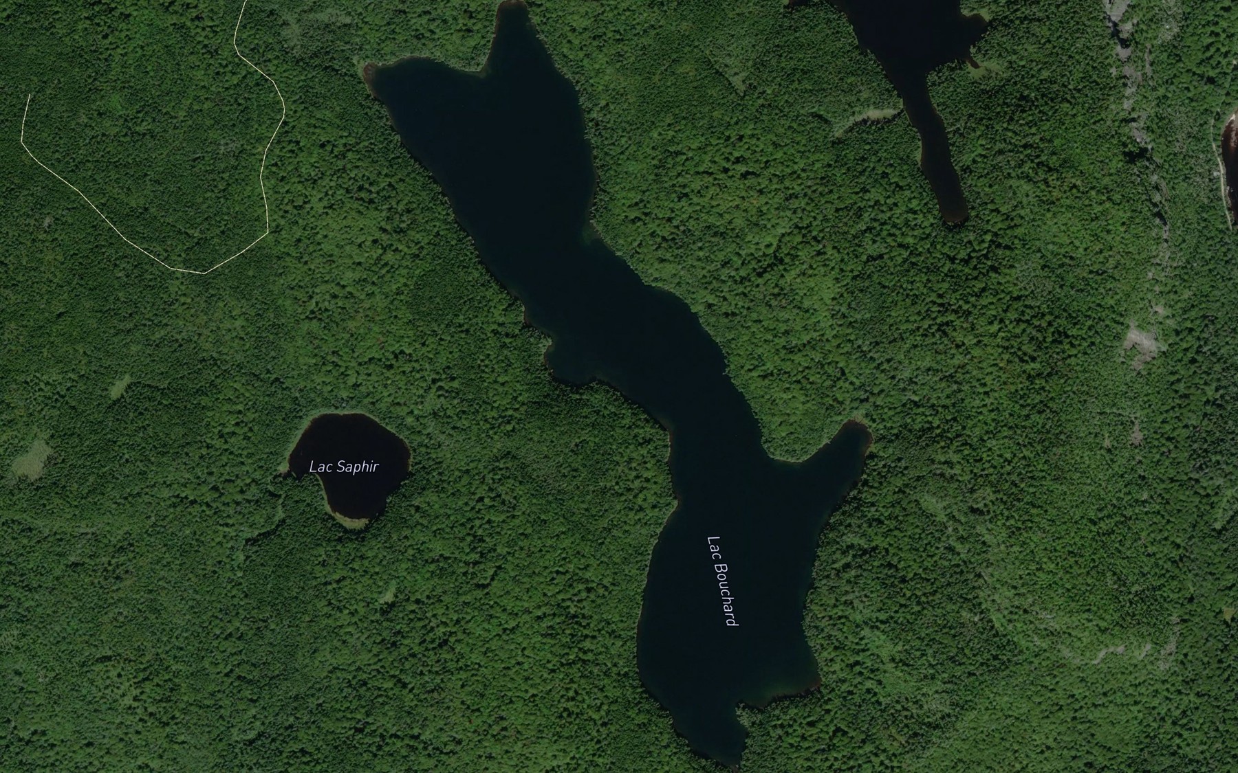 Satellite map of the Lac Bouchard