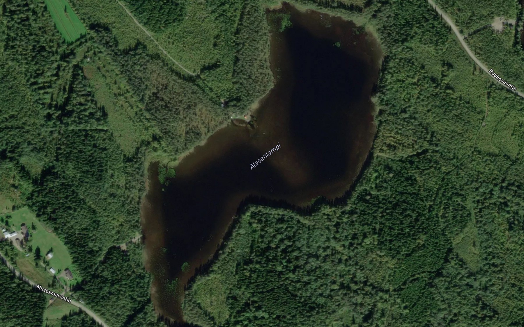 Satellite map of the Alasenlampi