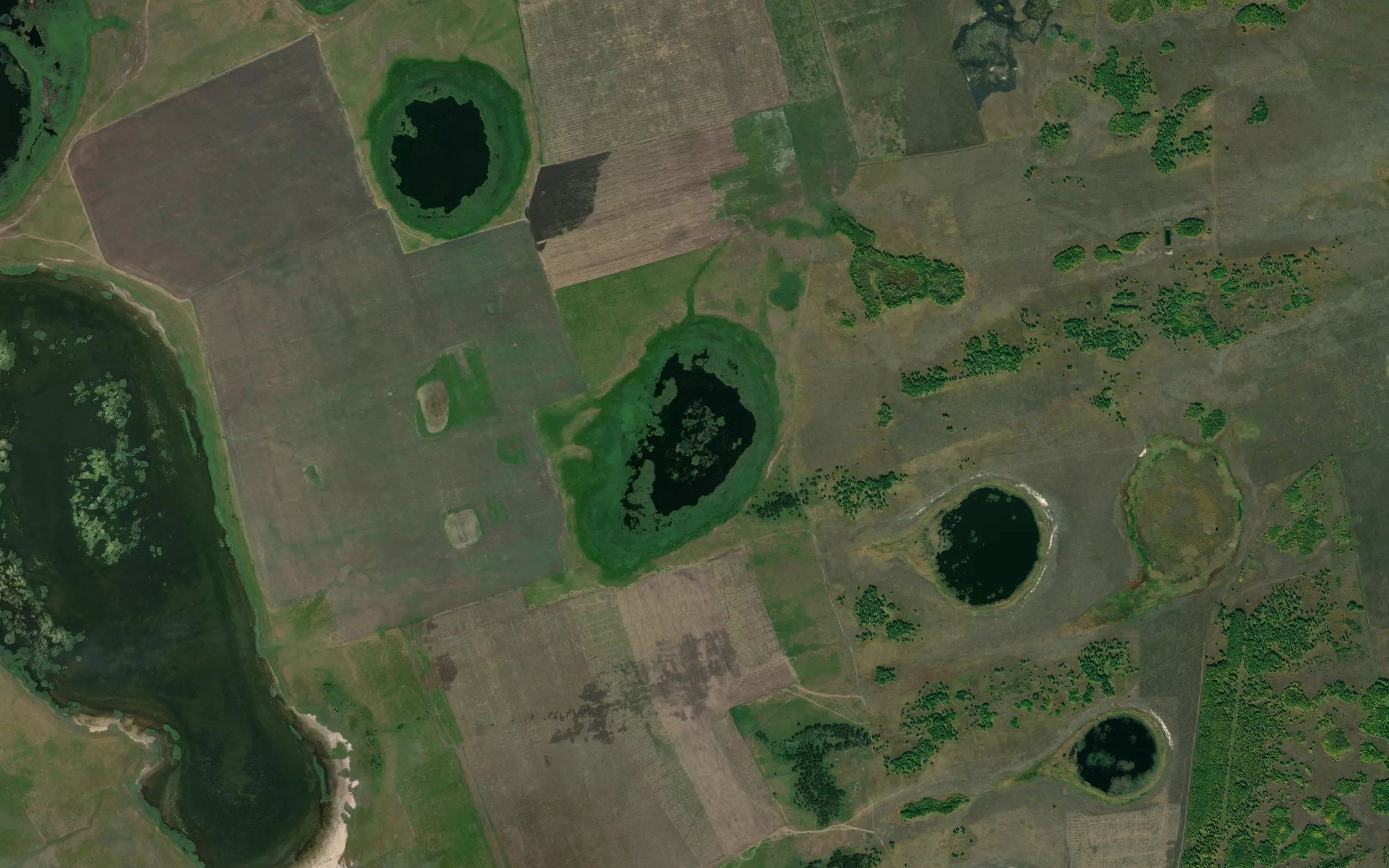 Ozero Palochnoye