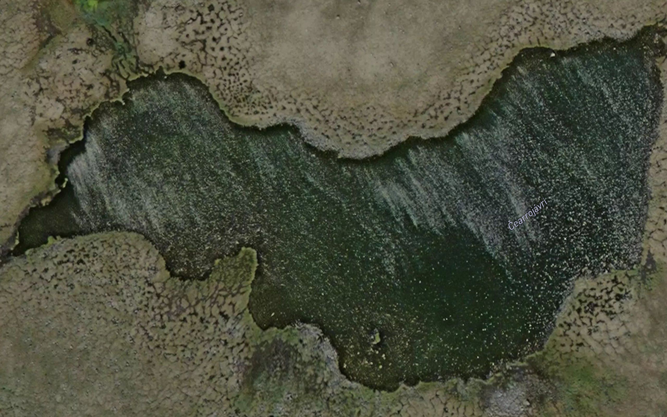 Caerrujavri