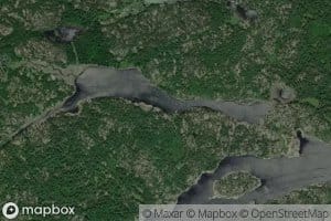 Bark Lake