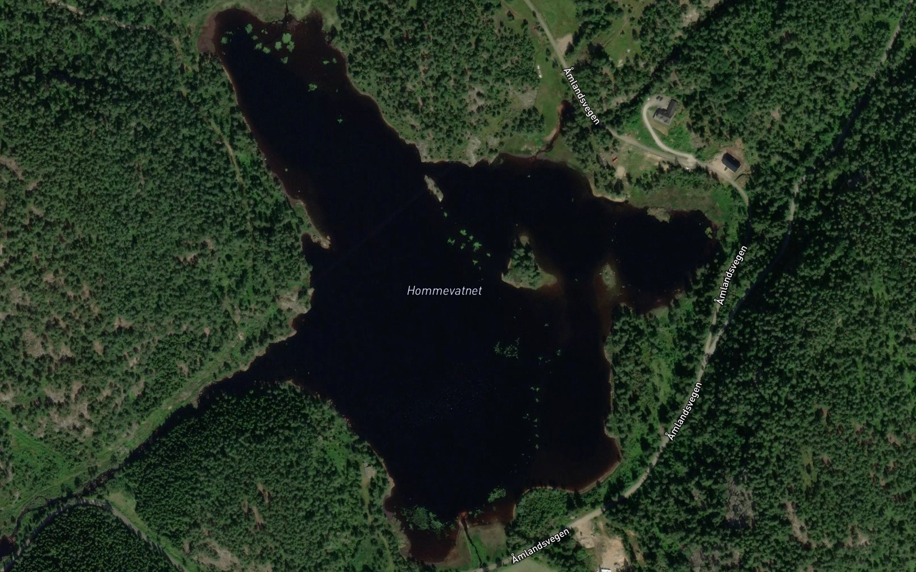 Satellite map of the Hommevatnet
